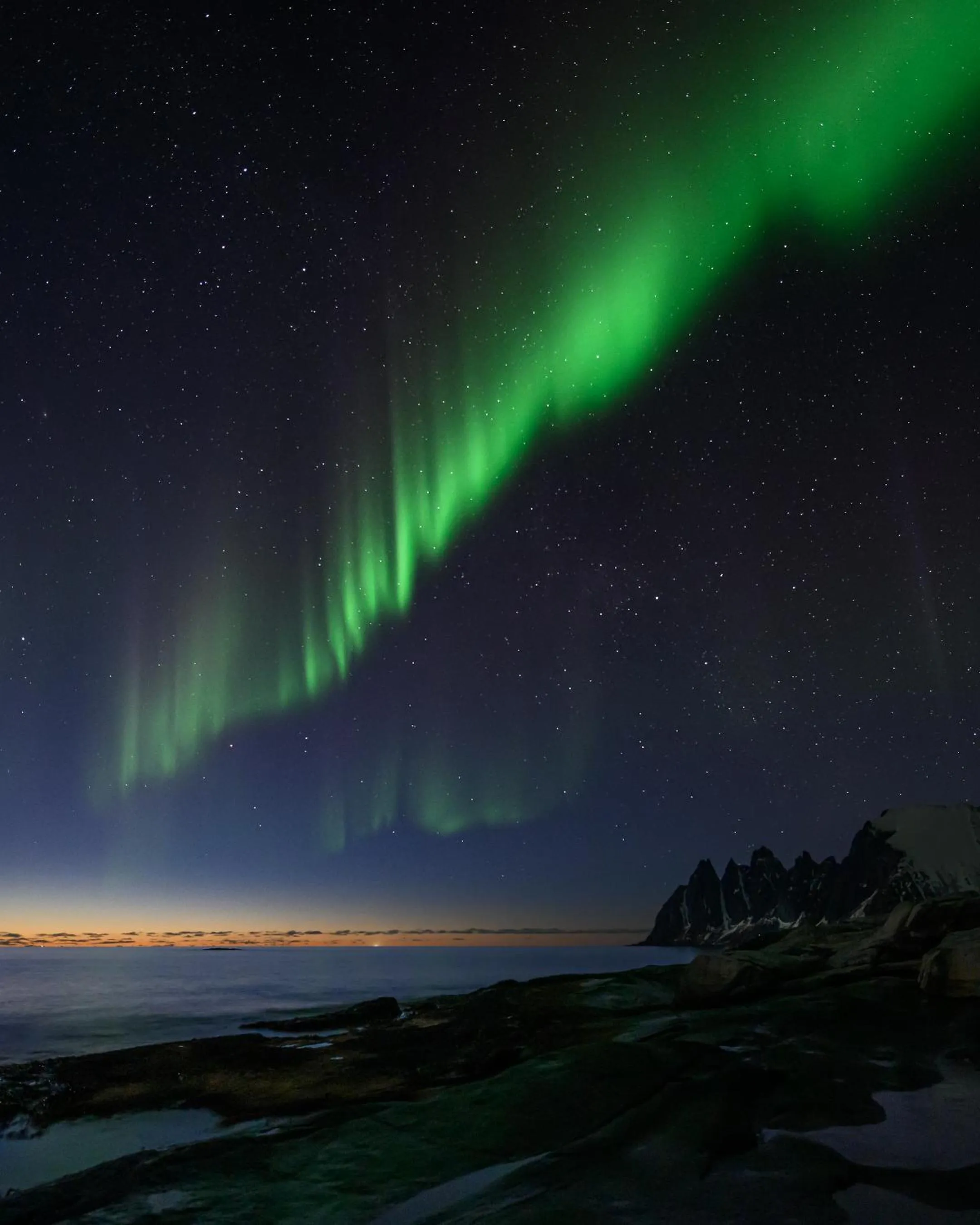 Northern Light Hotell/Camp Steinfjord