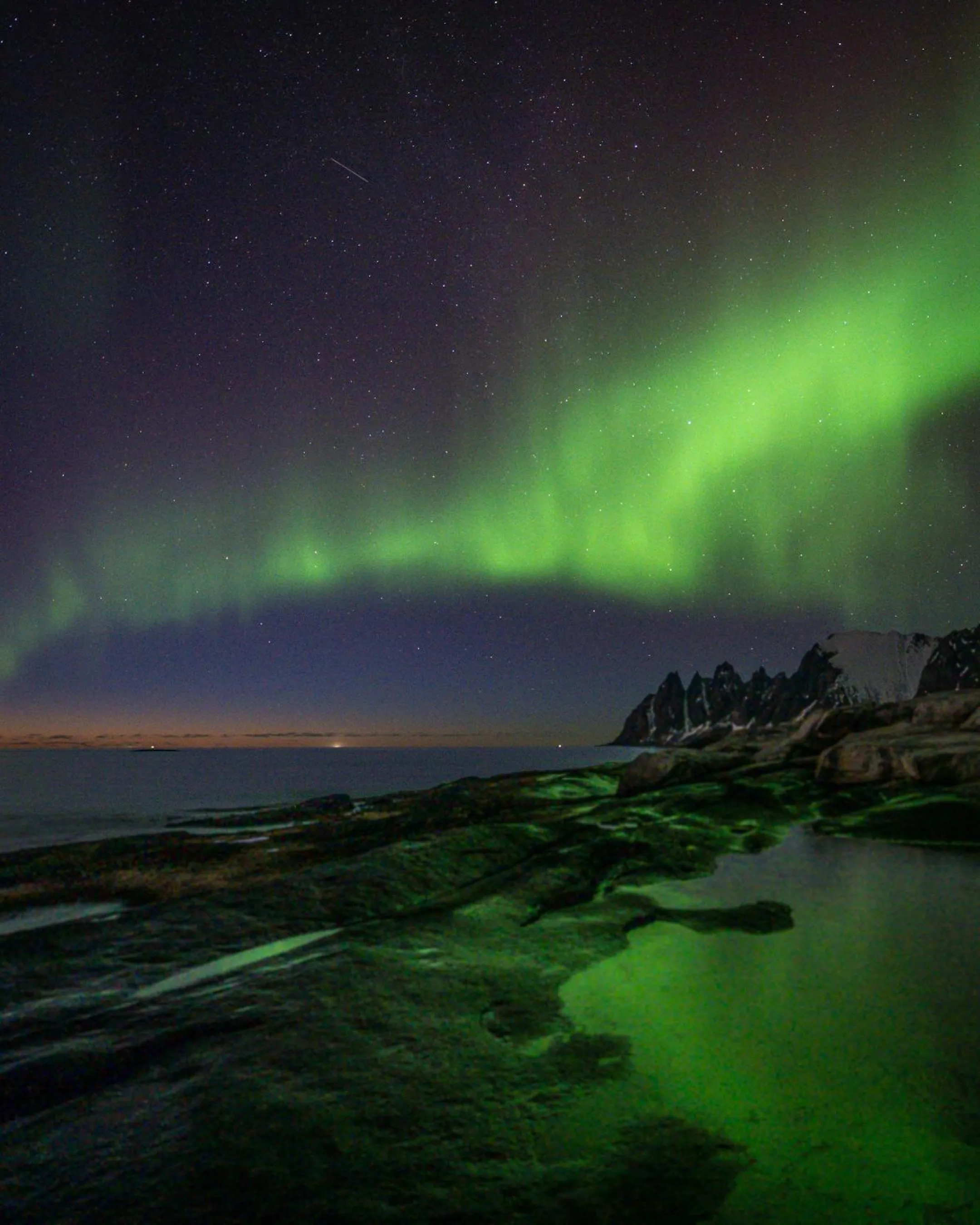 Northern Light Hotell/Camp Steinfjord