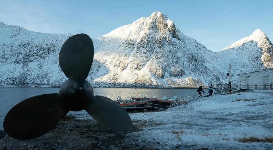 Northern Light Hotell/Camp Steinfjord