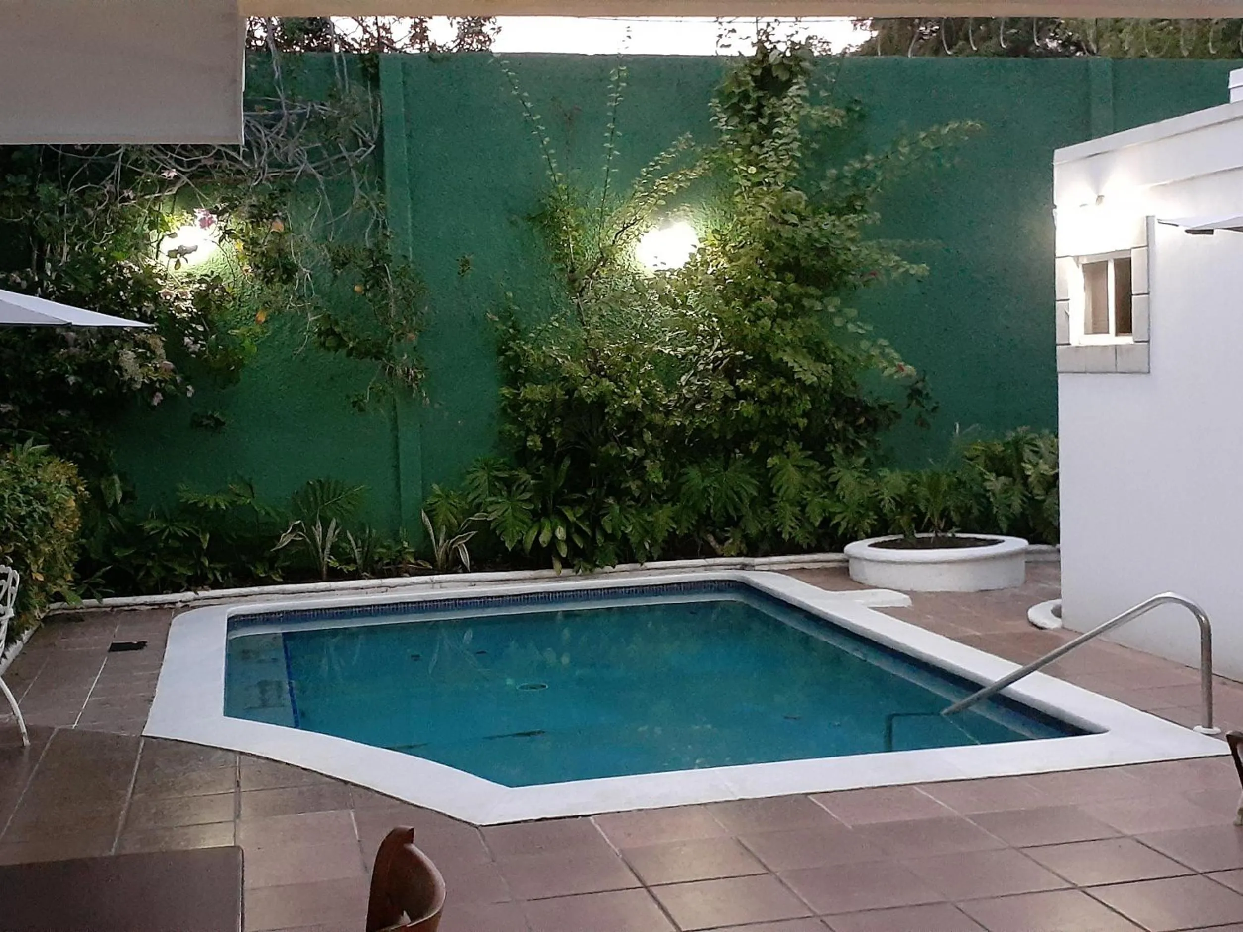 Swimming pool in Hotel El Almendro