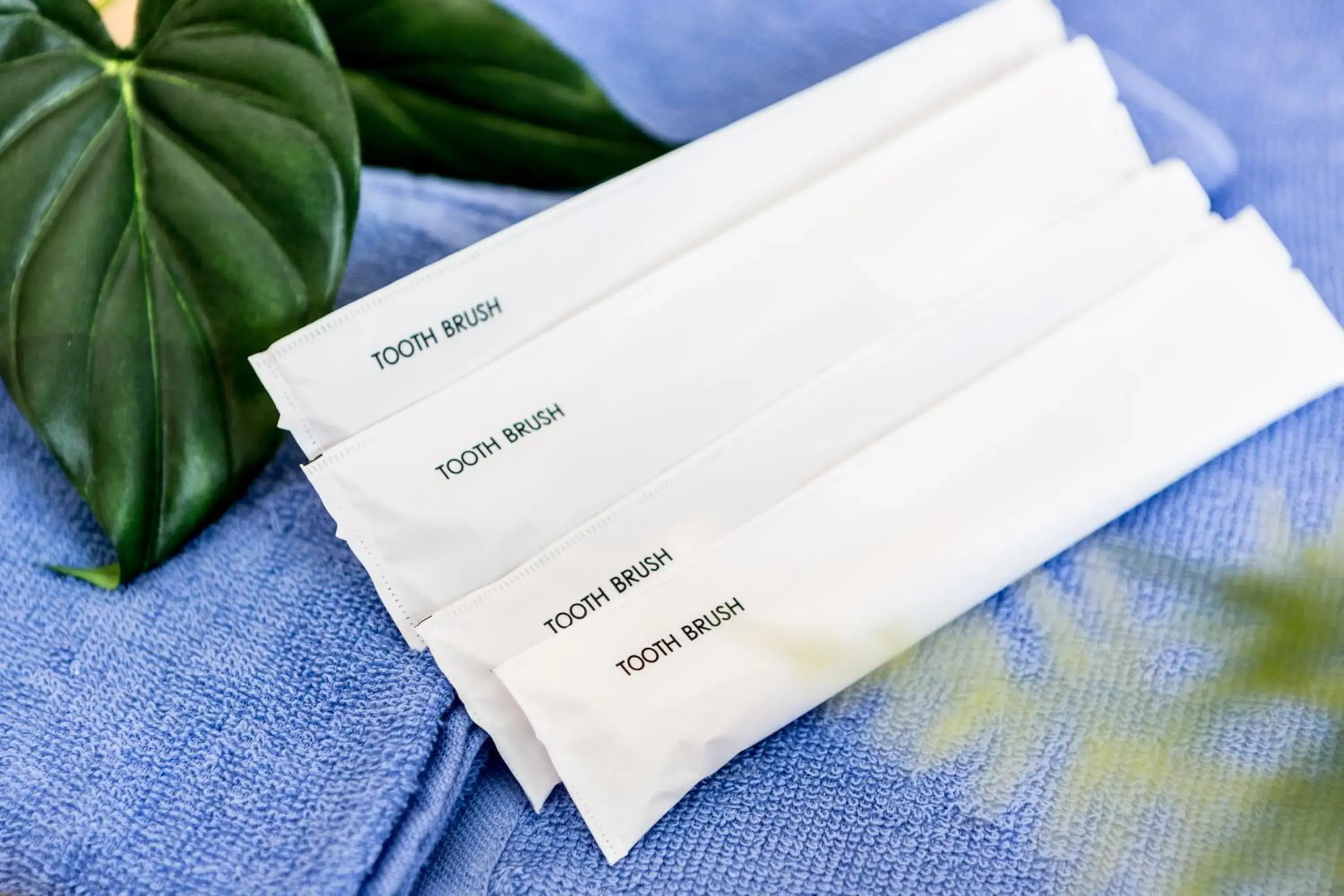 Photo of the whole room in JIYUKA INN Photo of the whole room in JIYUKA INN