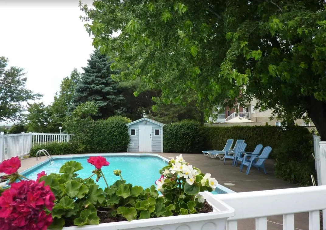 Pool view in Motel Belle Riviere