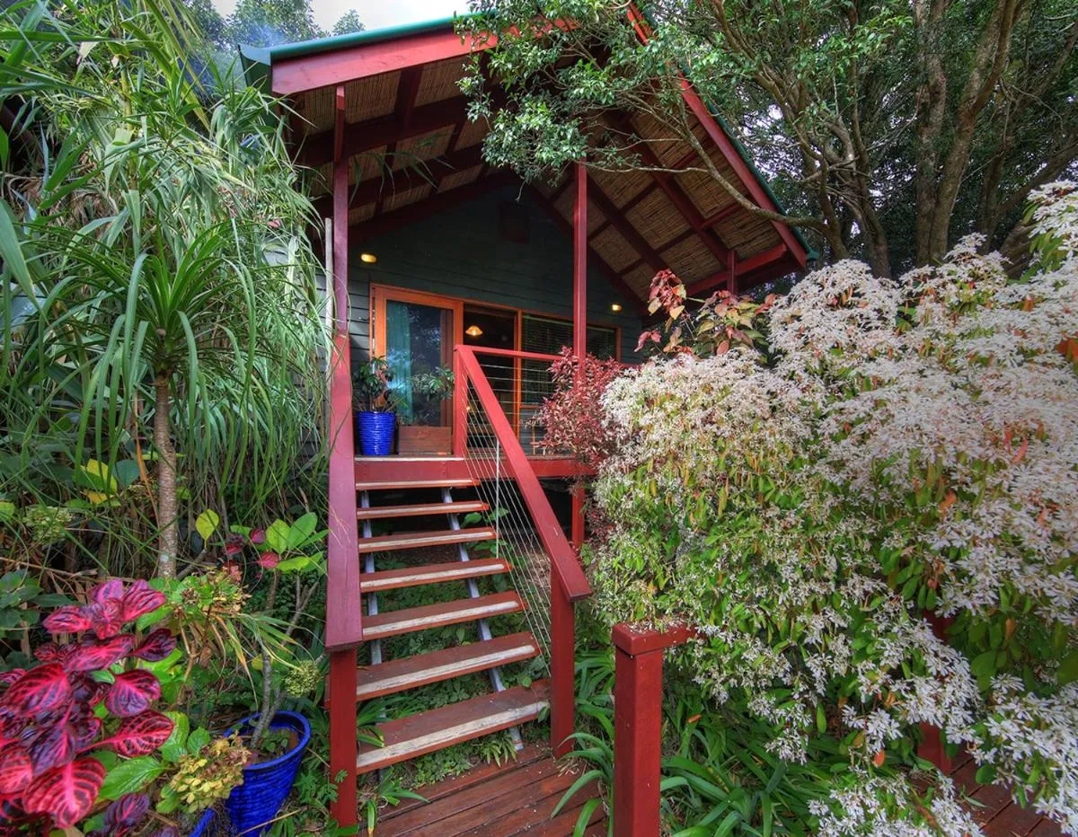 Maleny Tropical Retreat