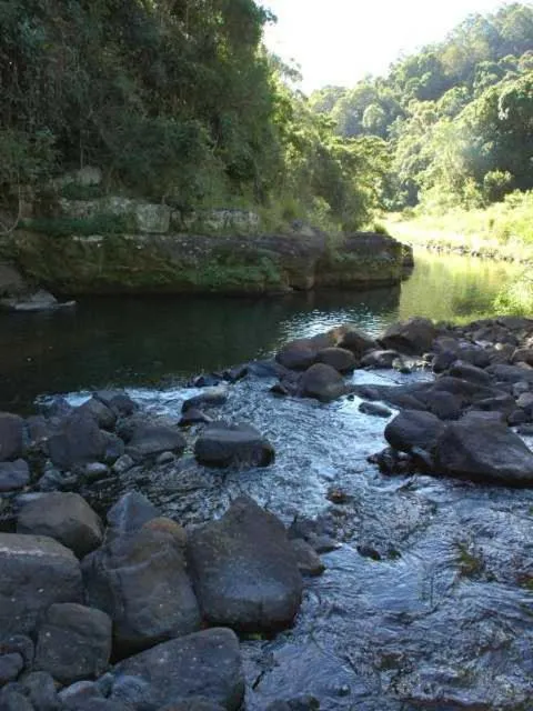 Natural landscape in Maleny Tropical Retreat