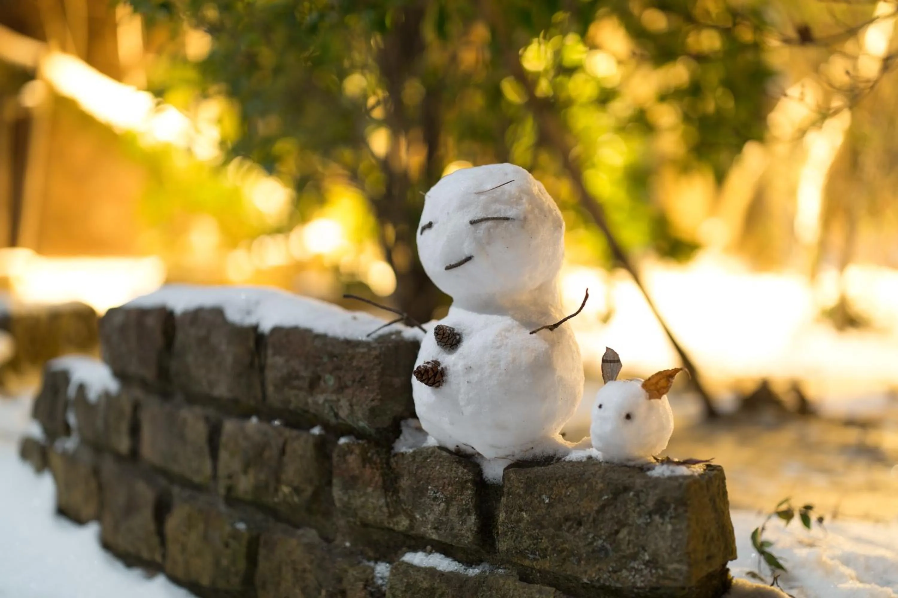 Other in Minami Aso Luna Observatory Auberge Mori no Atelier