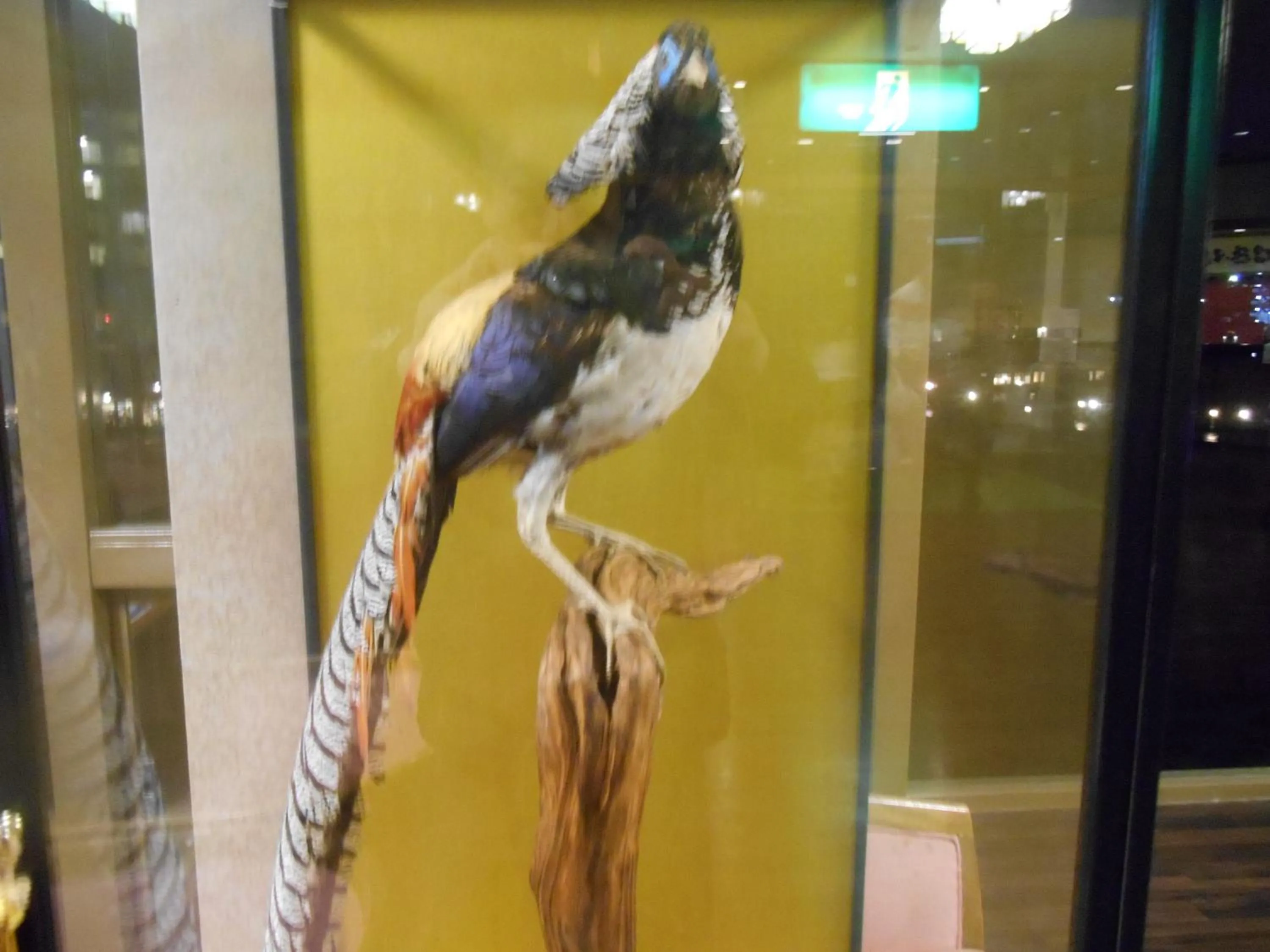 Other in kinugawaonsen Fukumatsu