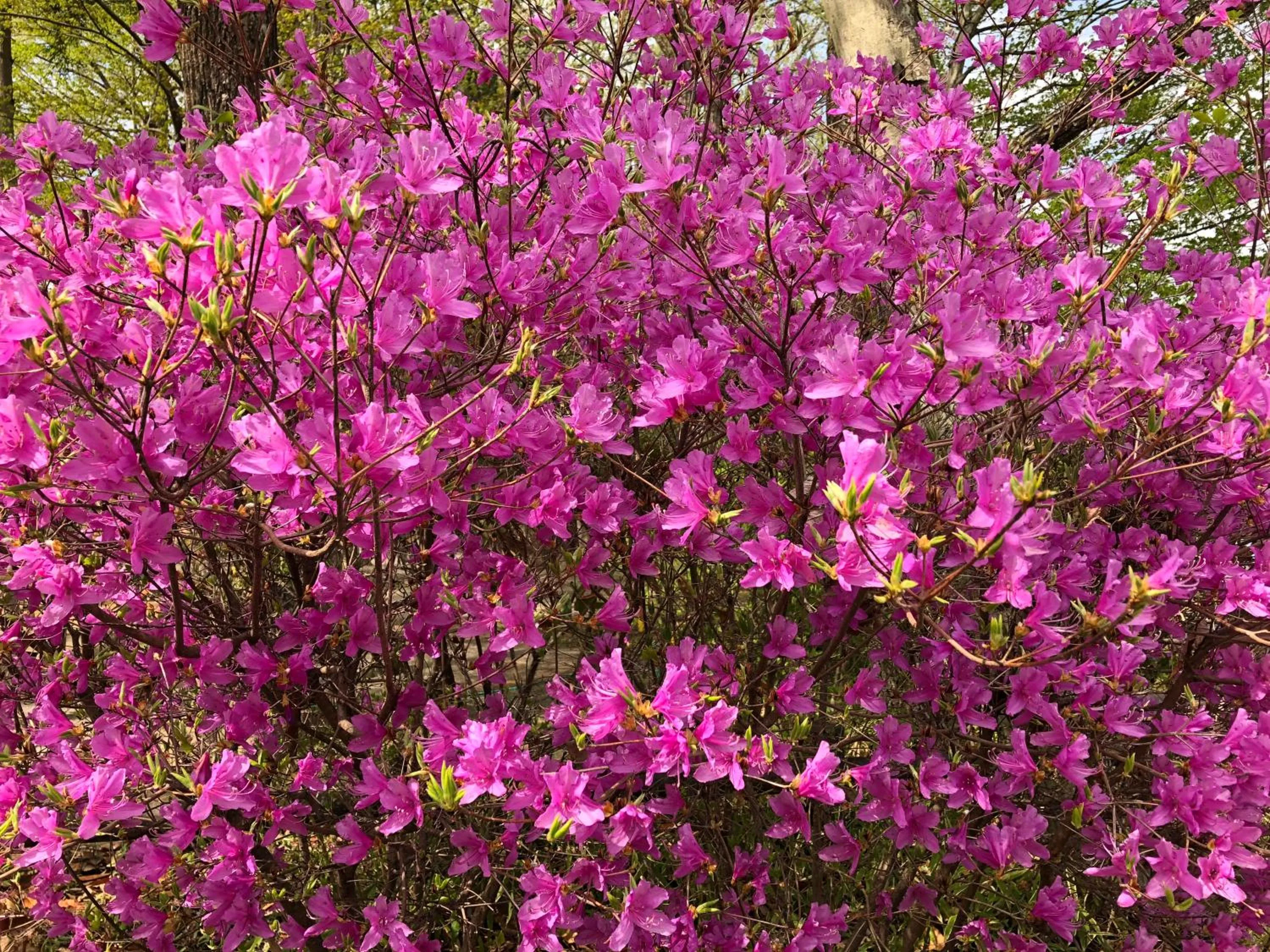 Natural landscape in kinugawaonsen Fukumatsu