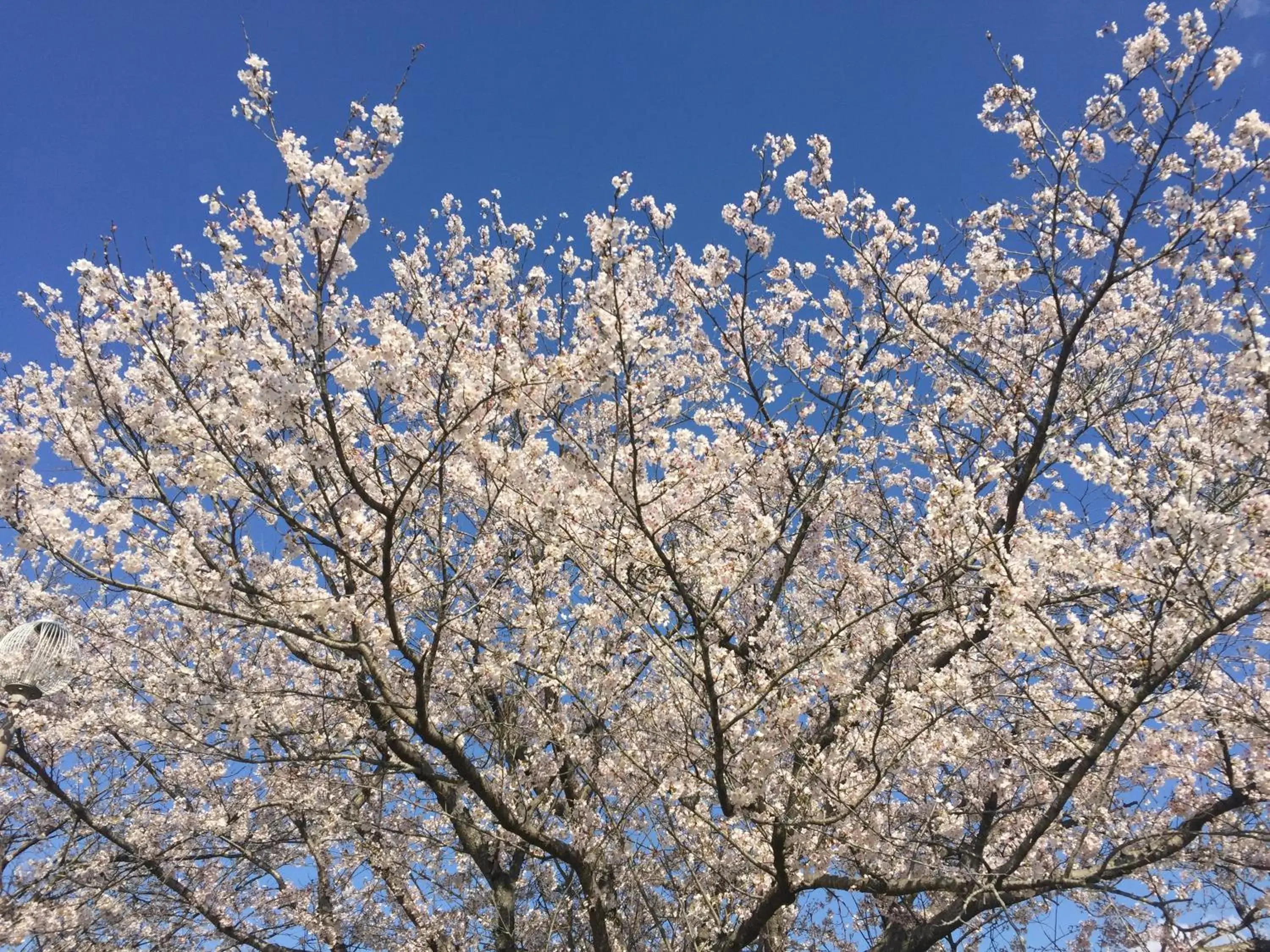 Street view in kinugawaonsen Fukumatsu Street view in kinugawaonsen Fukumatsu