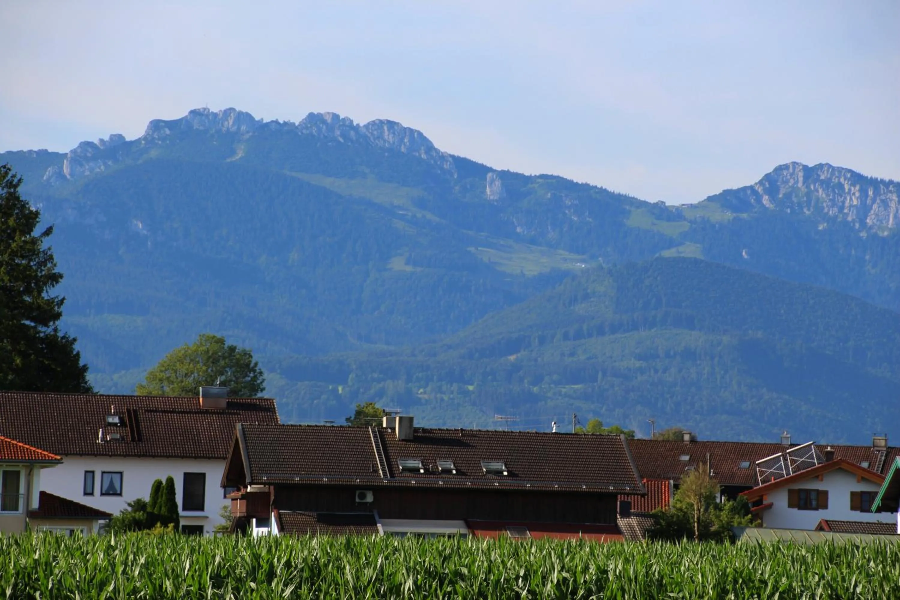 Chiemsee-Edelweiß Ferienwohnung