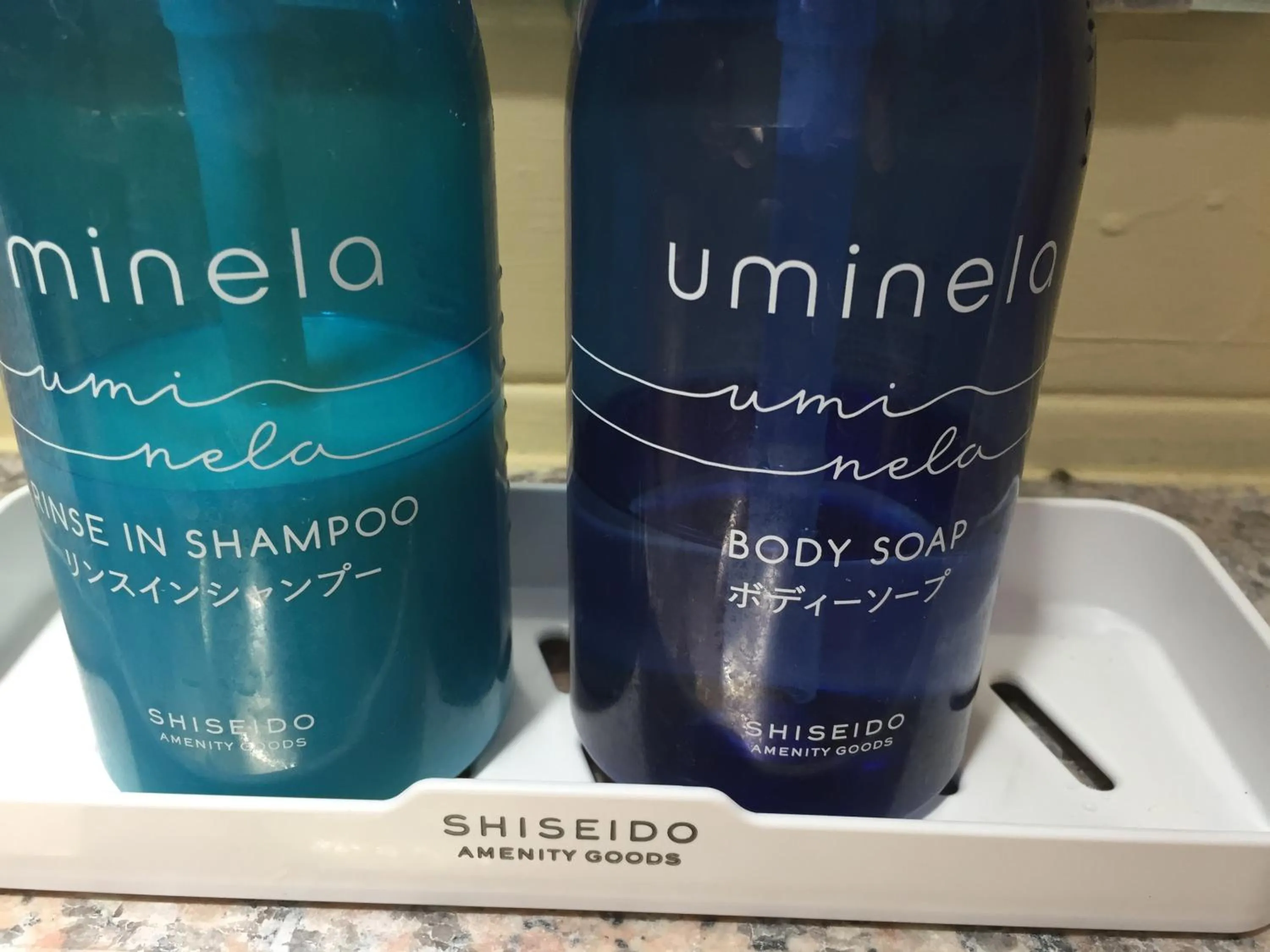 Hot Spring Bath in Daymaruya Ryokan