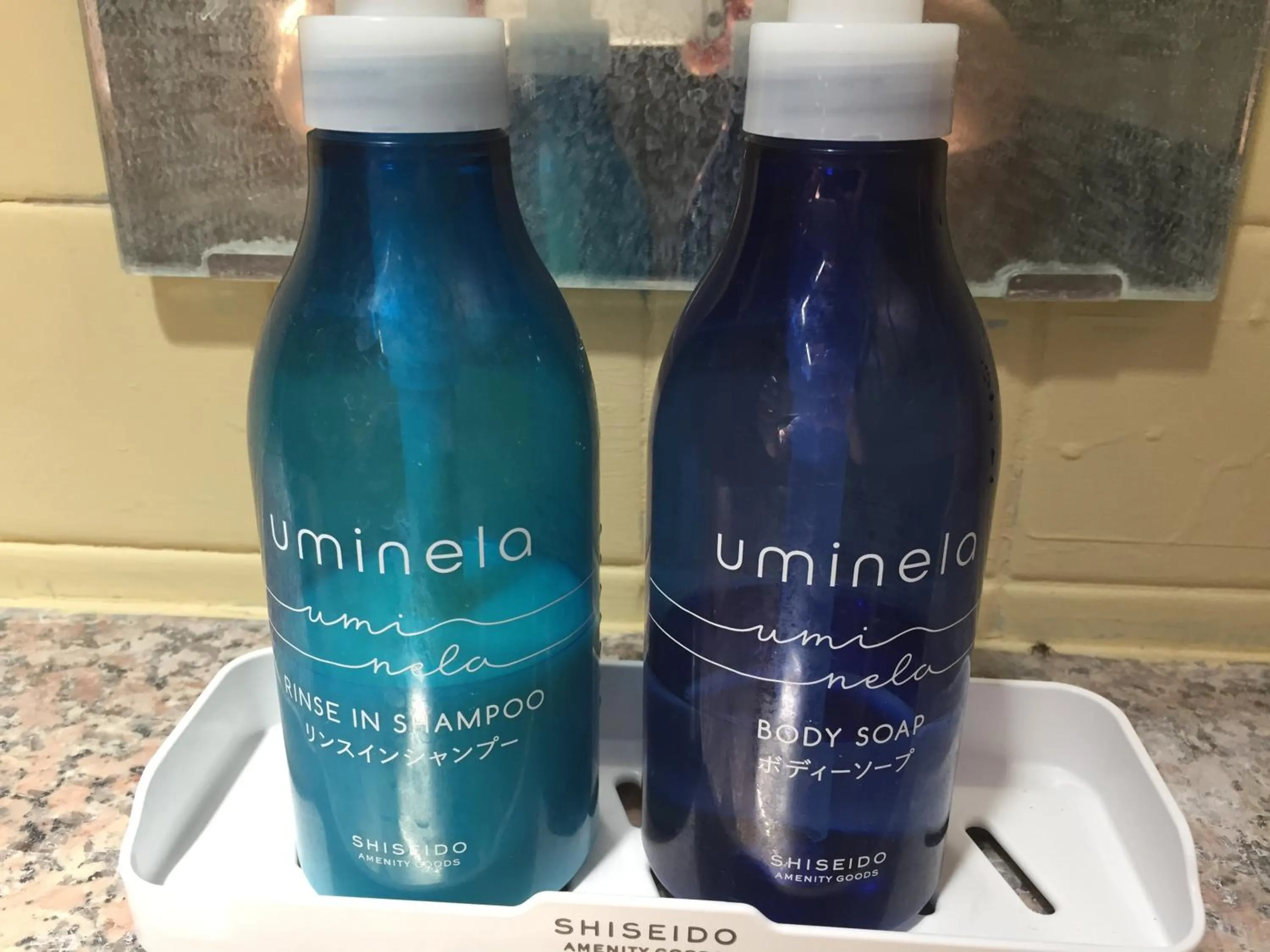 Hot Spring Bath in Daymaruya Ryokan