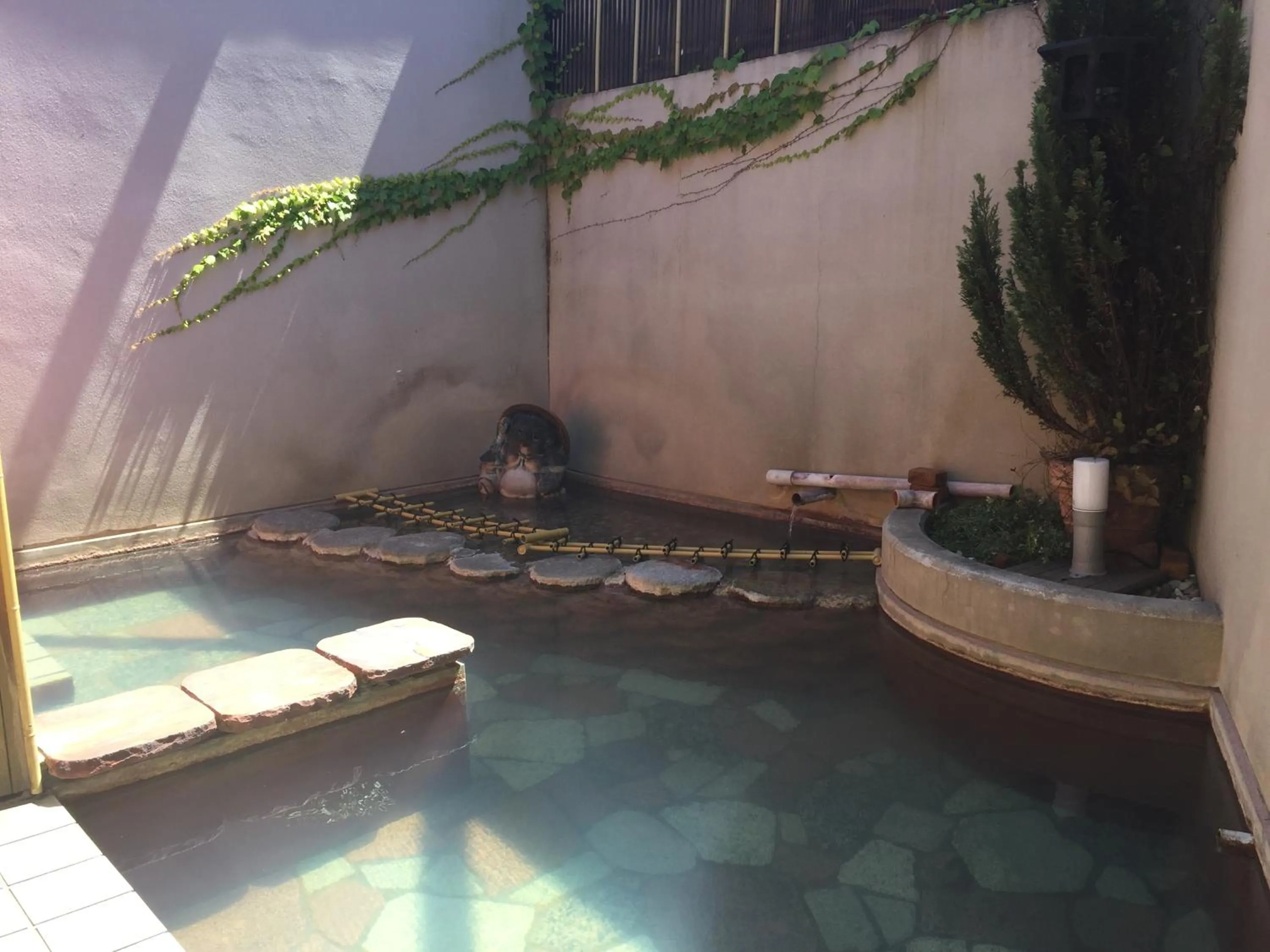 Hot Spring Bath in Daymaruya Ryokan