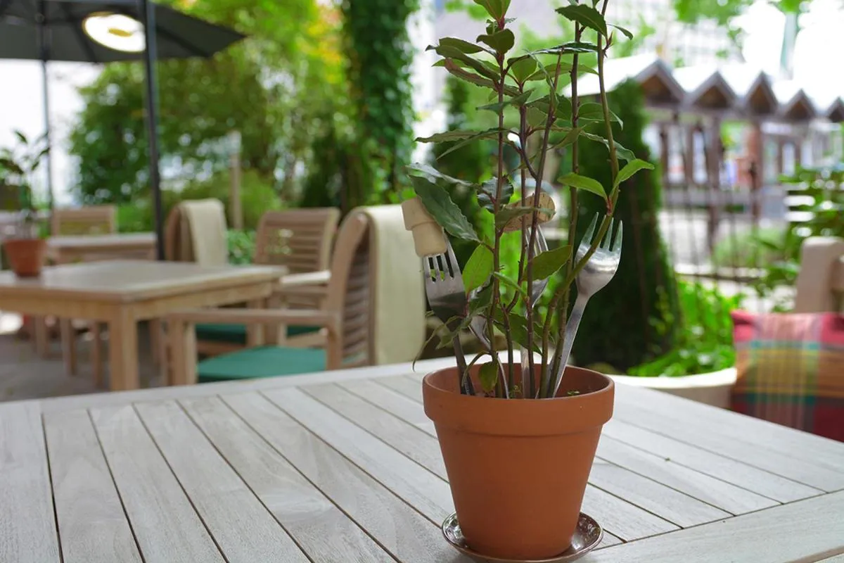 Balcony/Terrace in Hotel-Restaurant Schettel