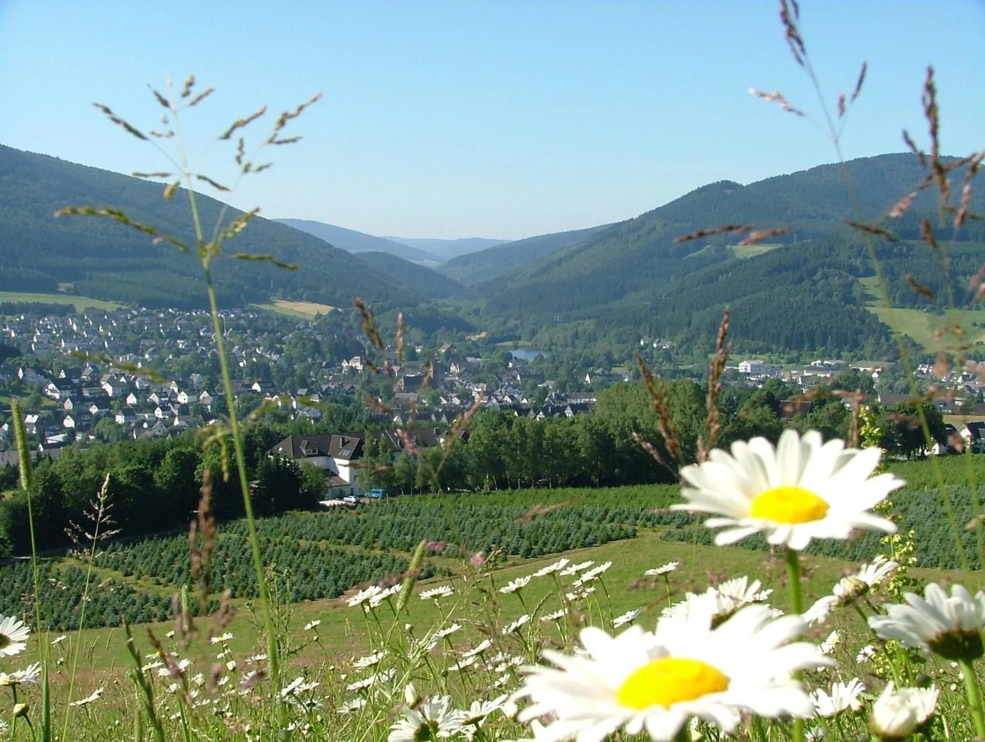 Natural landscape in Hotel-Restaurant Schettel