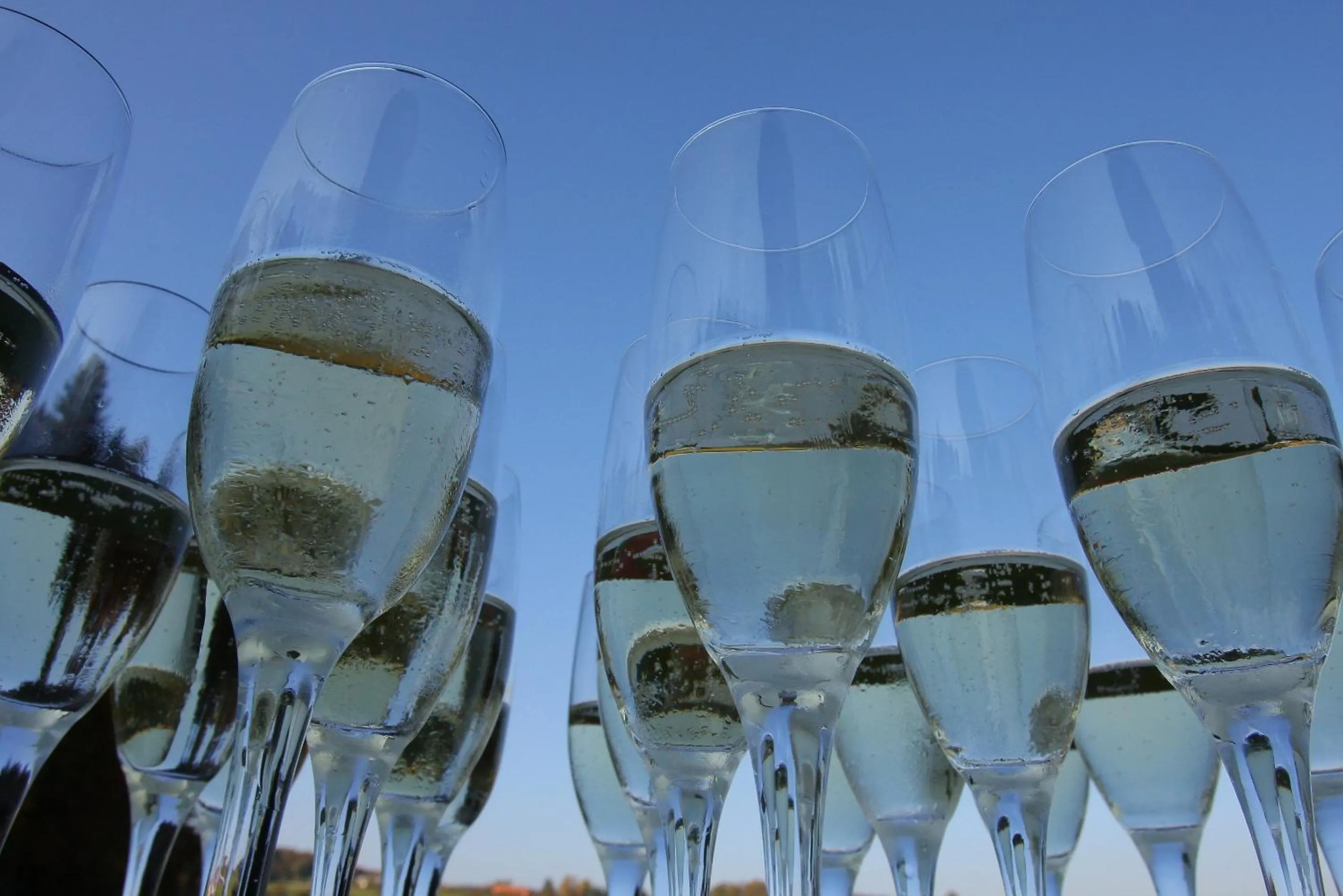 Food and drinks in Hotel Grosuplje