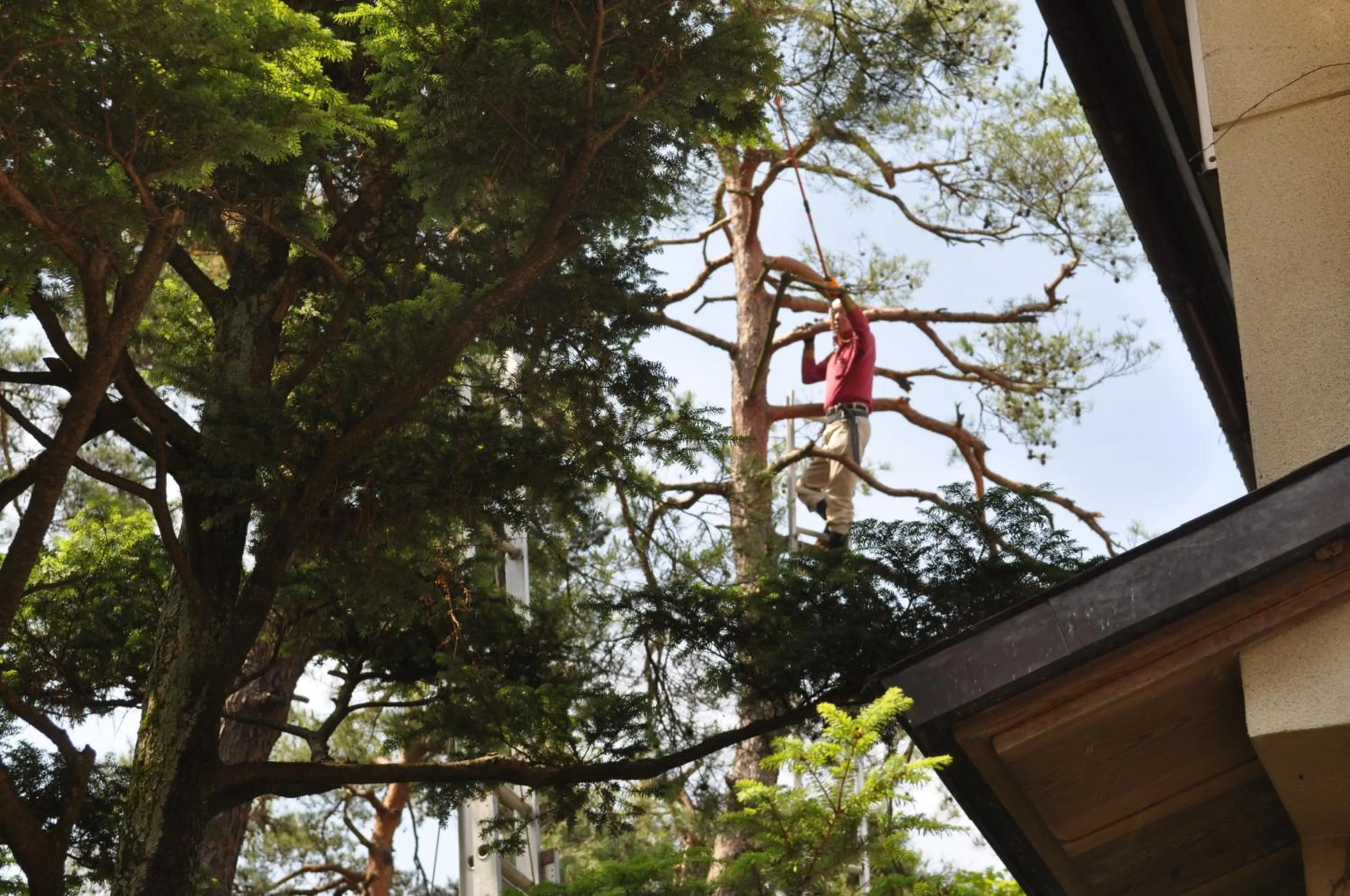 Garden in Yudanaka Yumoto