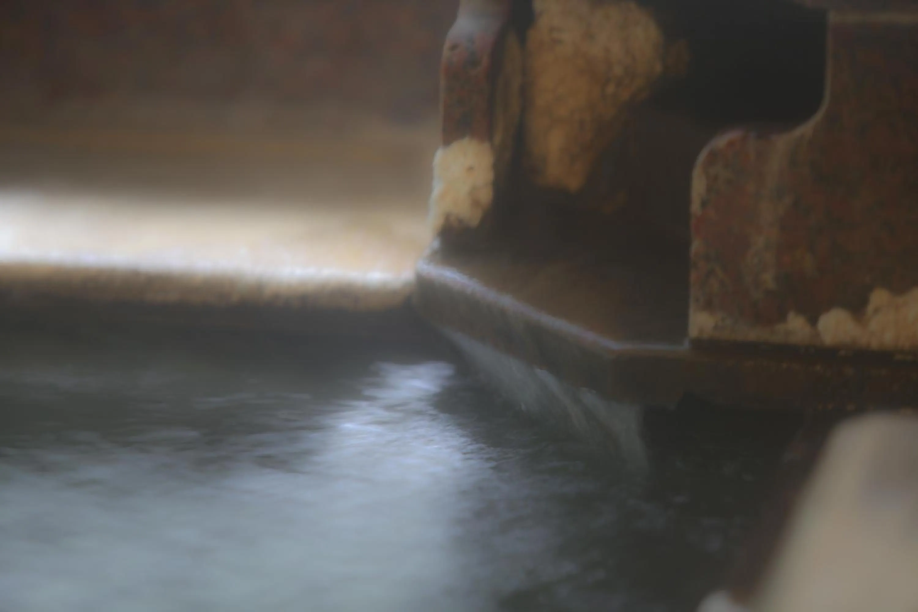 Hot Spring Bath in Yudanaka Yumoto