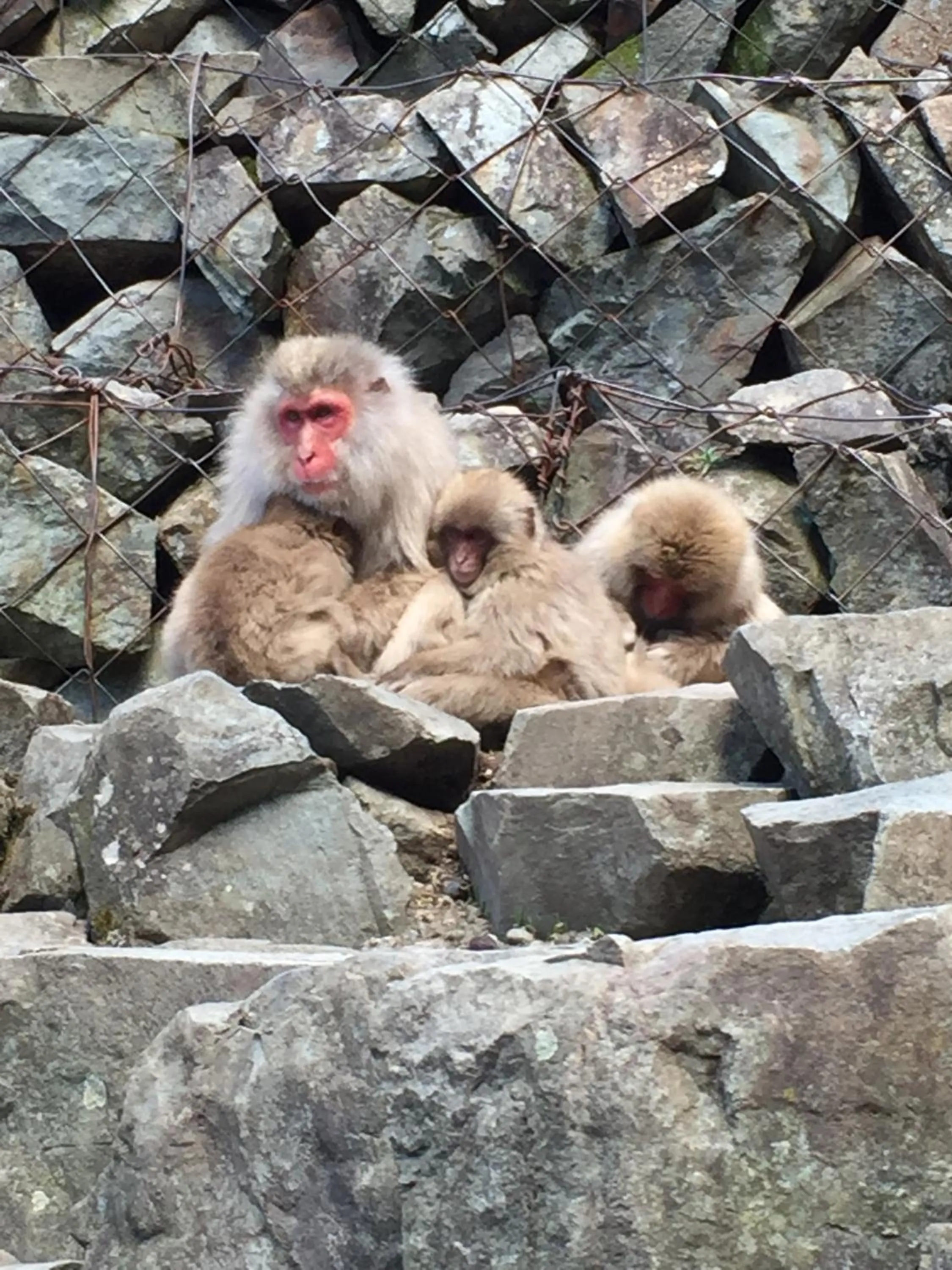 Location in Yudanaka Yumoto