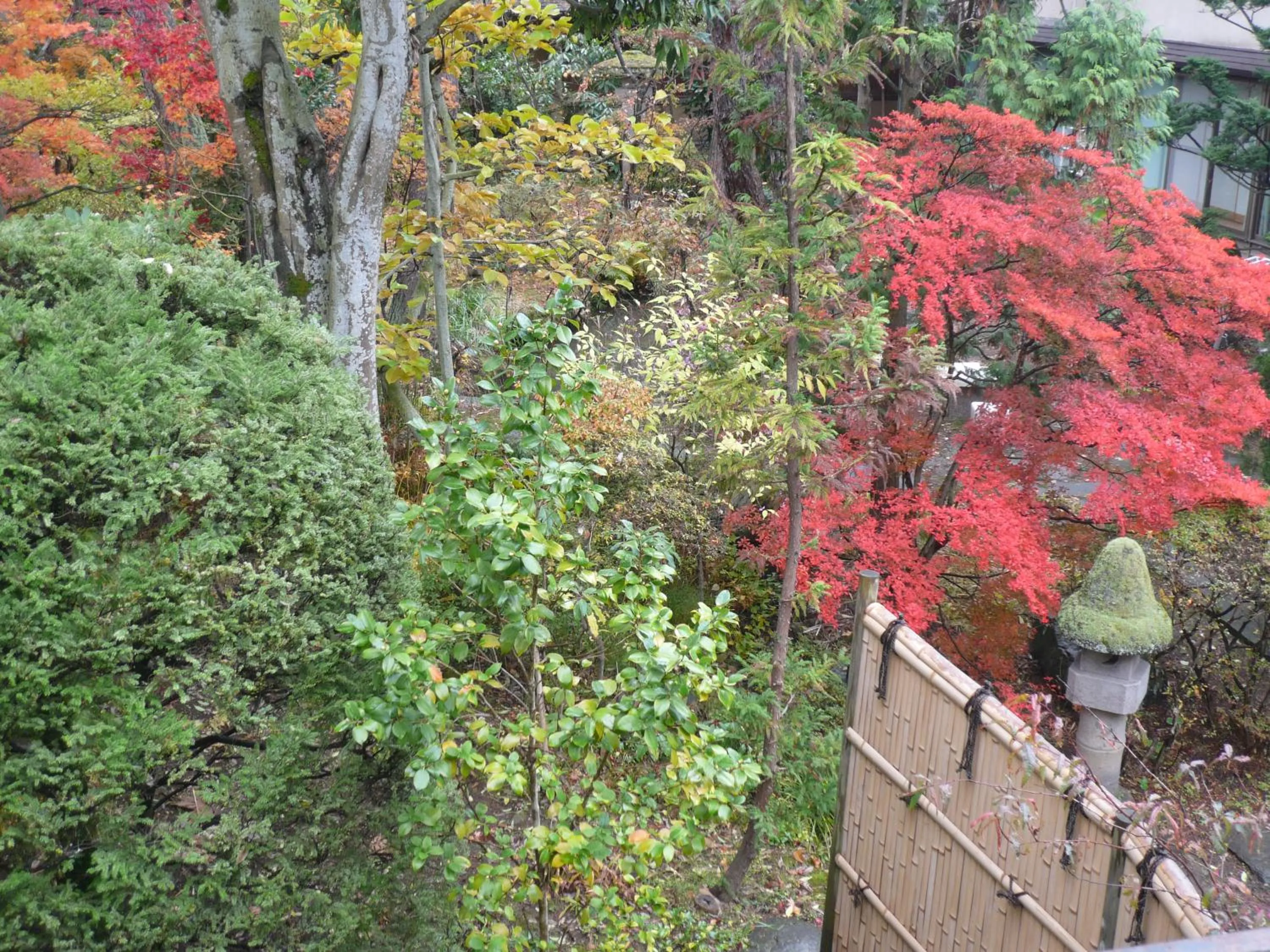 Garden in Yudanaka Yumoto