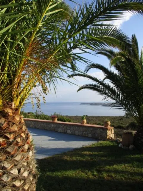 Garden in Theodosia Studios