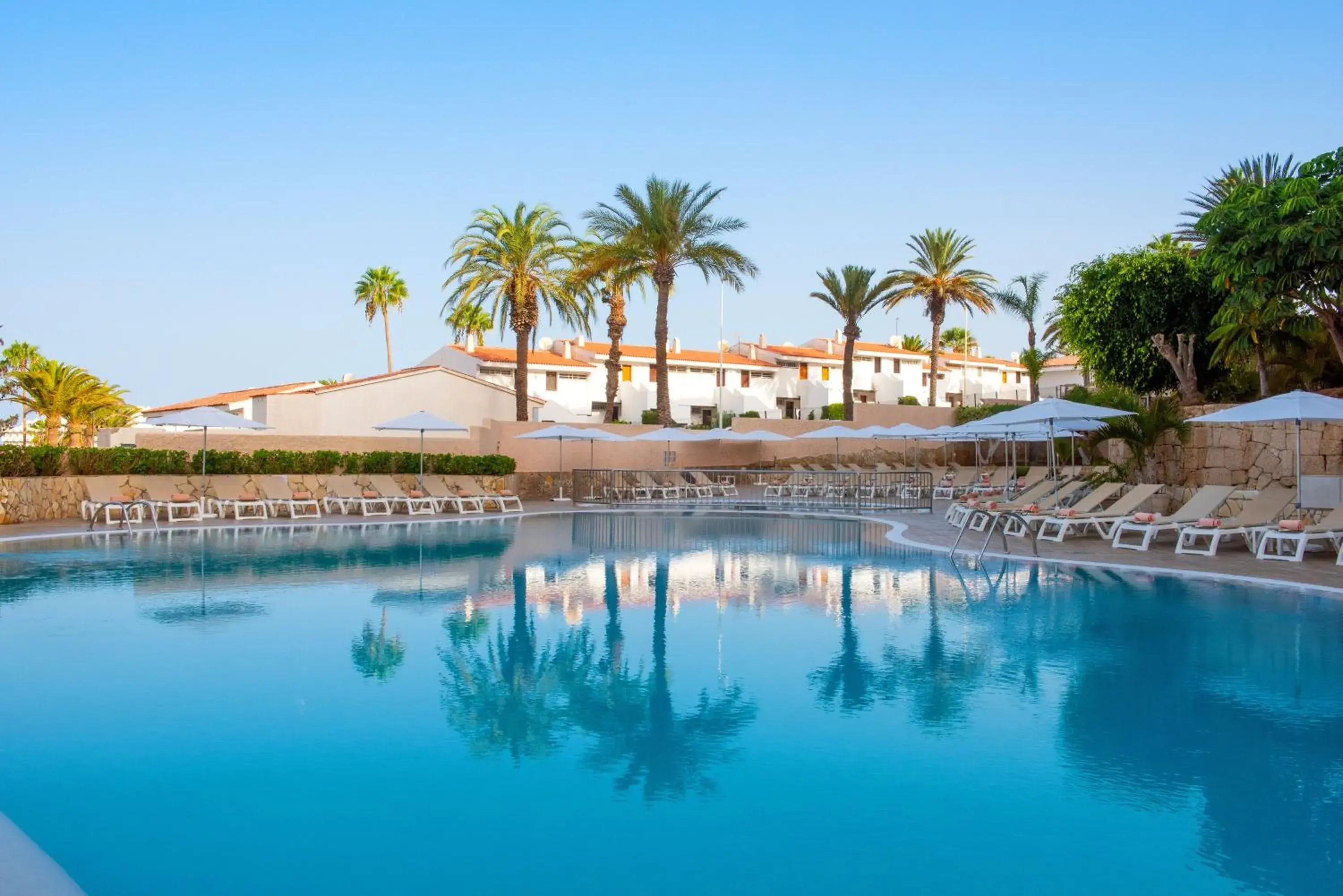 Swimming pool in Olé Tropical Tenerife Adults Only Swimming pool in Olé Tropical Tenerife Adults Only