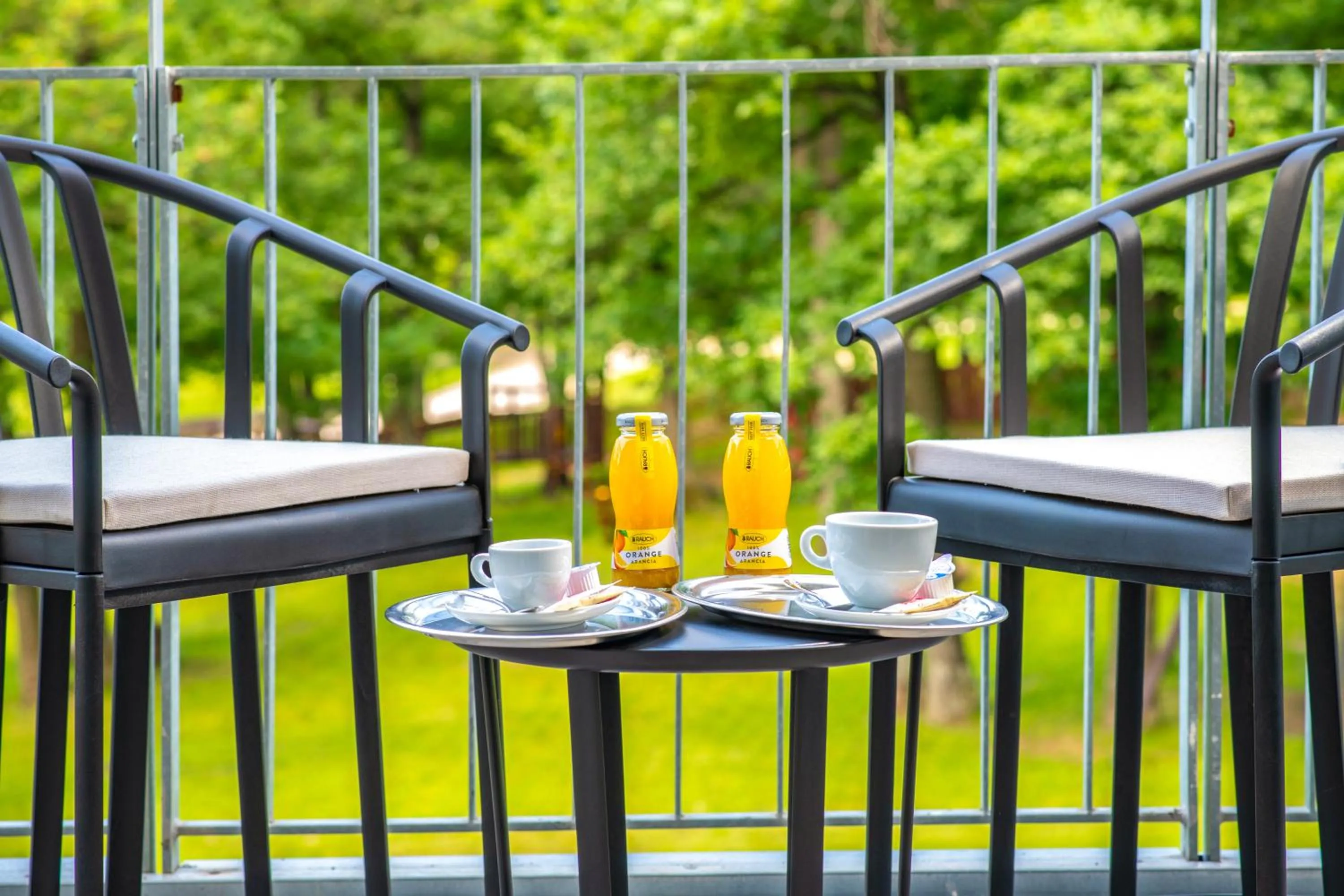 Balcony/Terrace in Lifestyle Hotel Mátra