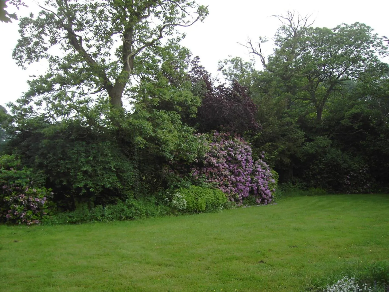 Sommerhaus Barlo