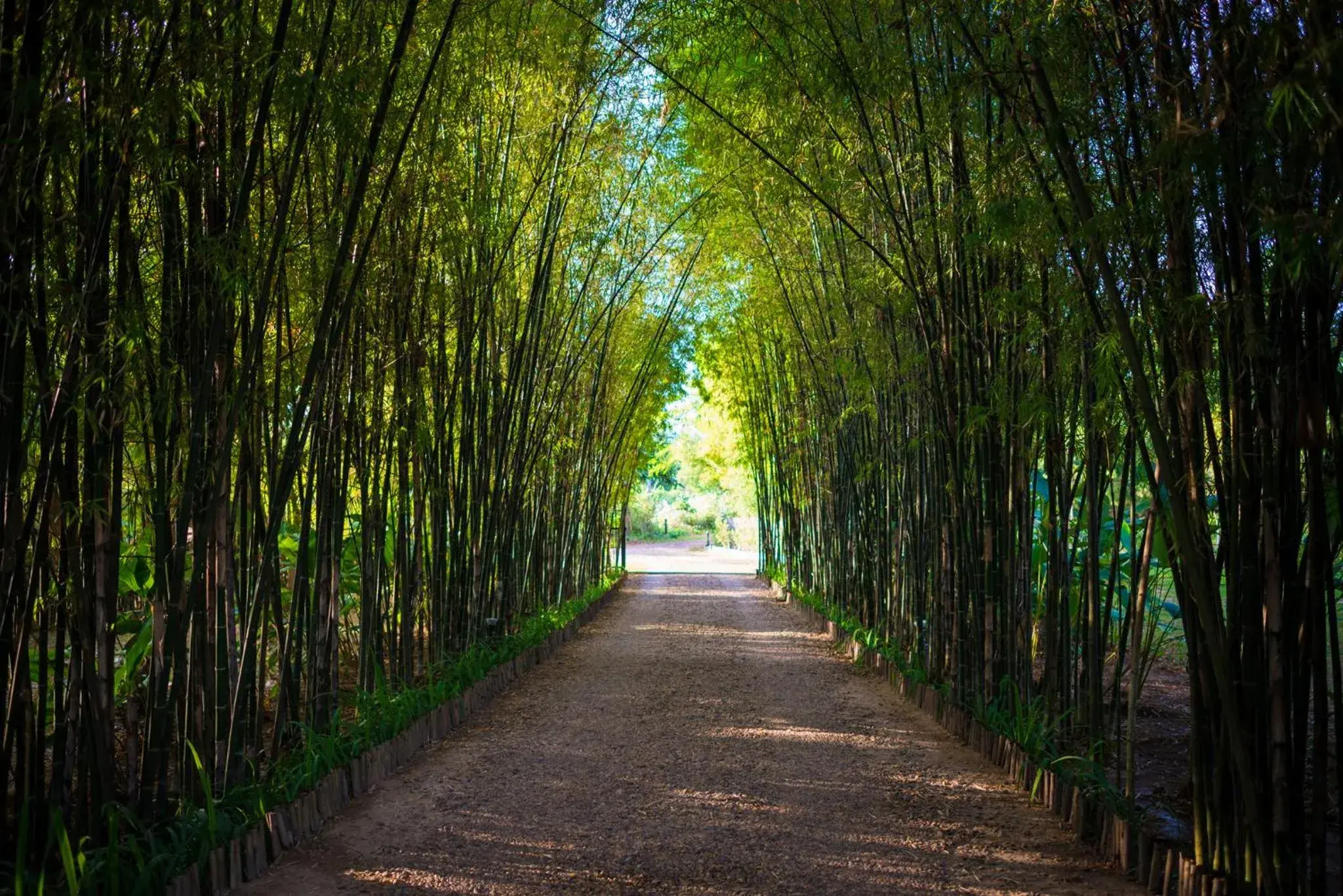 Facade/entrance in The River Resort Facade/entrance in The River Resort