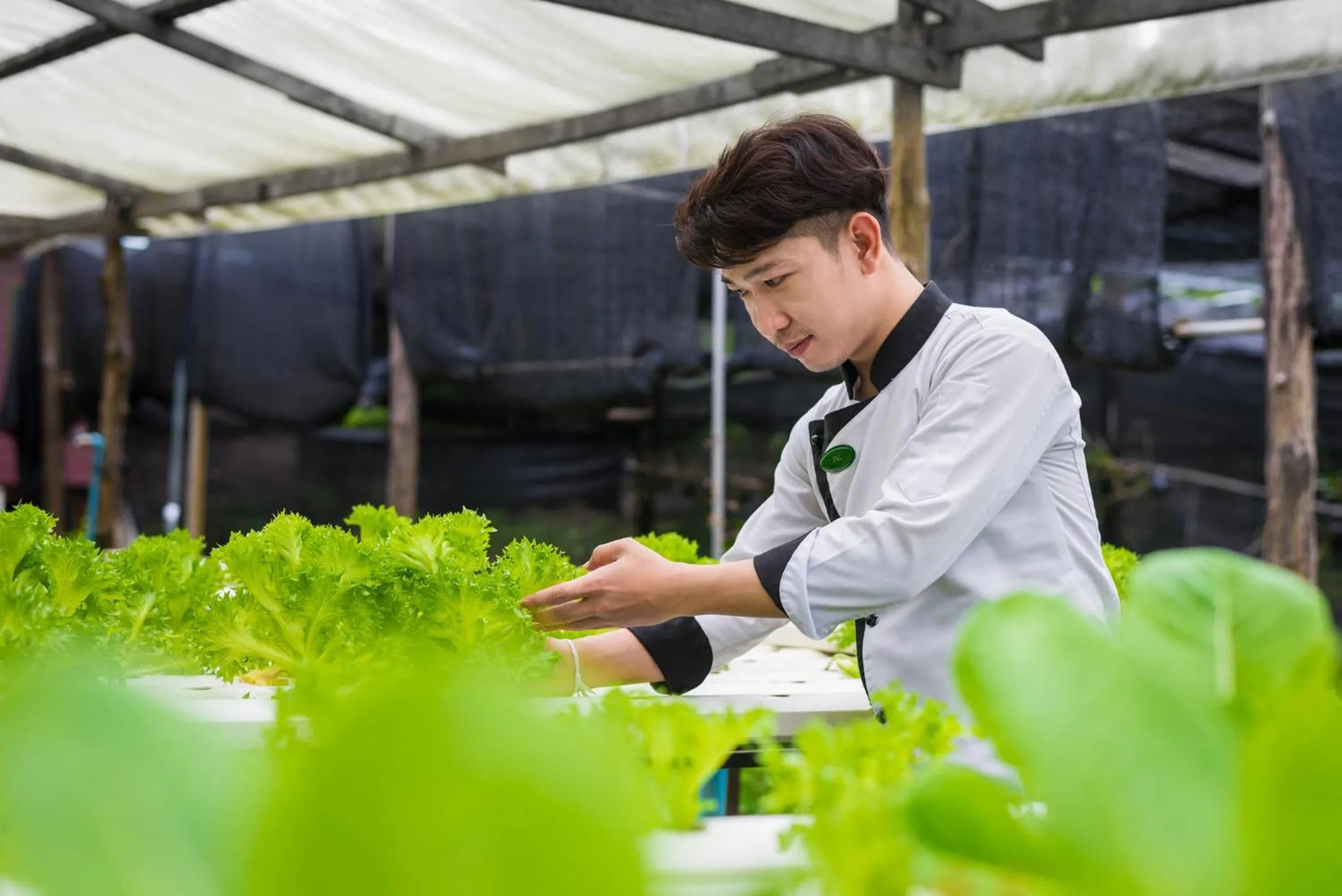 Staff in The River Resort