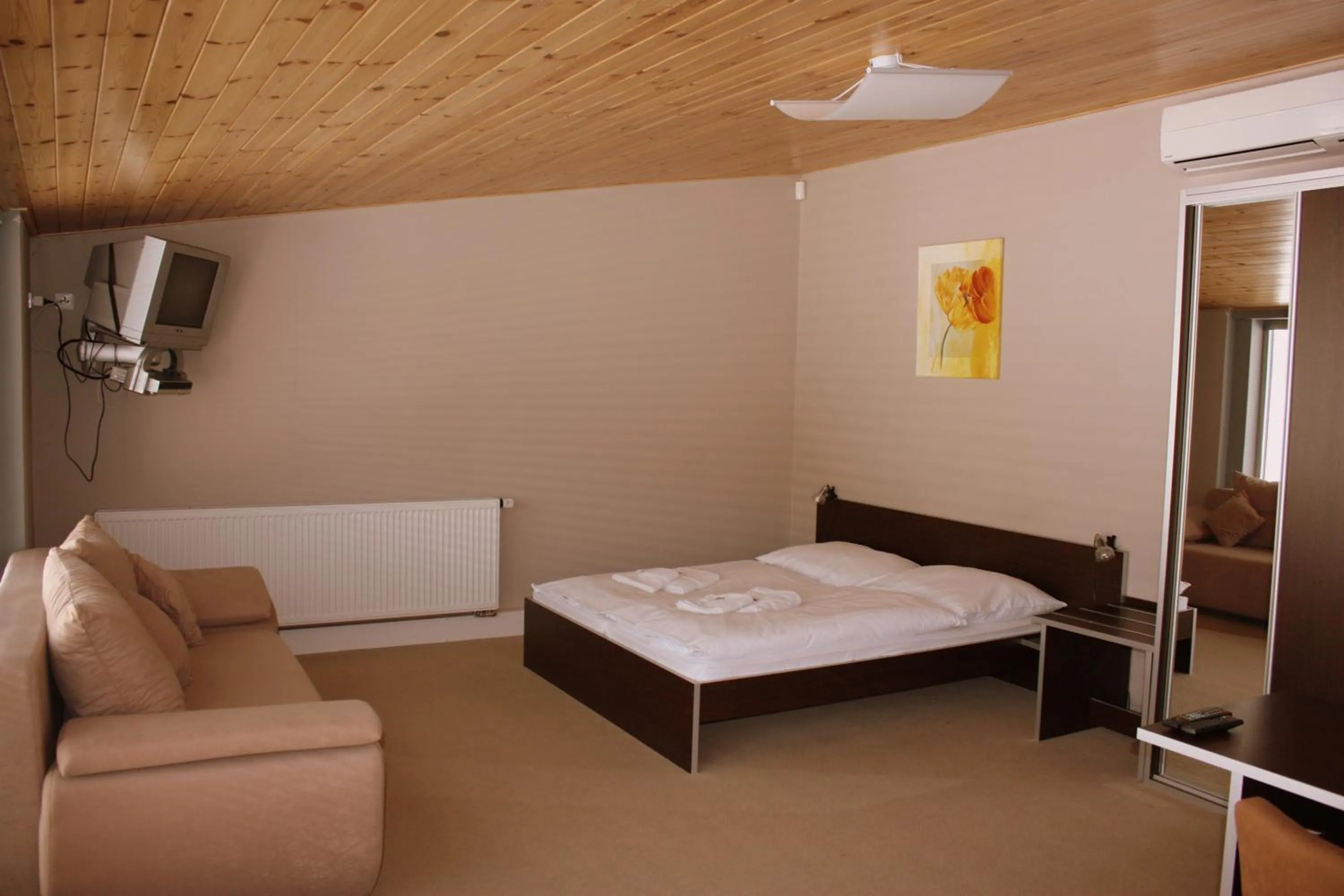 Apartment - single occupancy in Penzion a CaféRestaurant U lávky