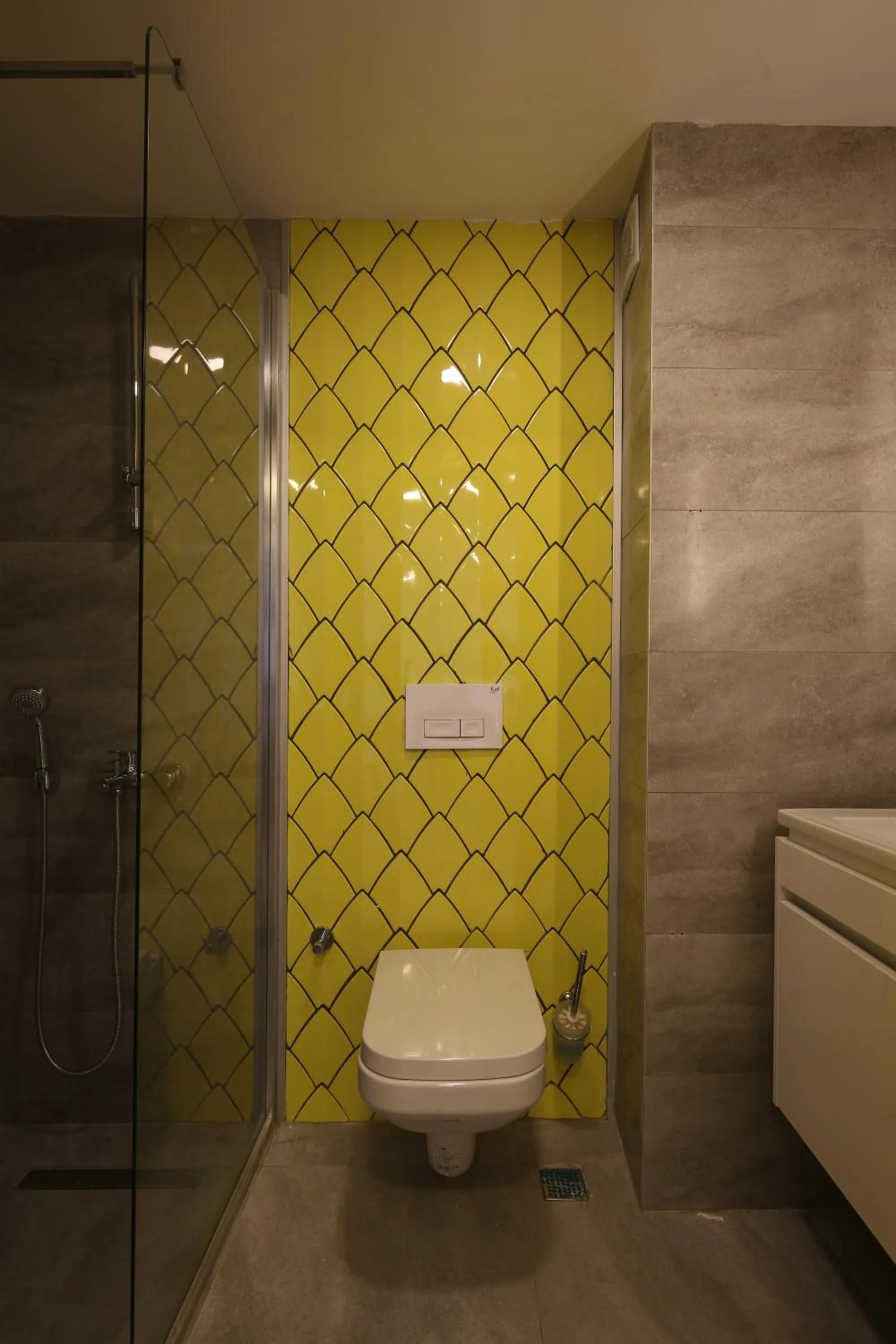 Toilet in Coordinat Suits