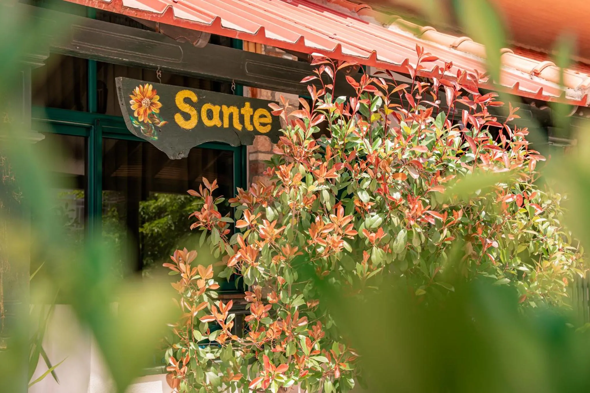 Sante