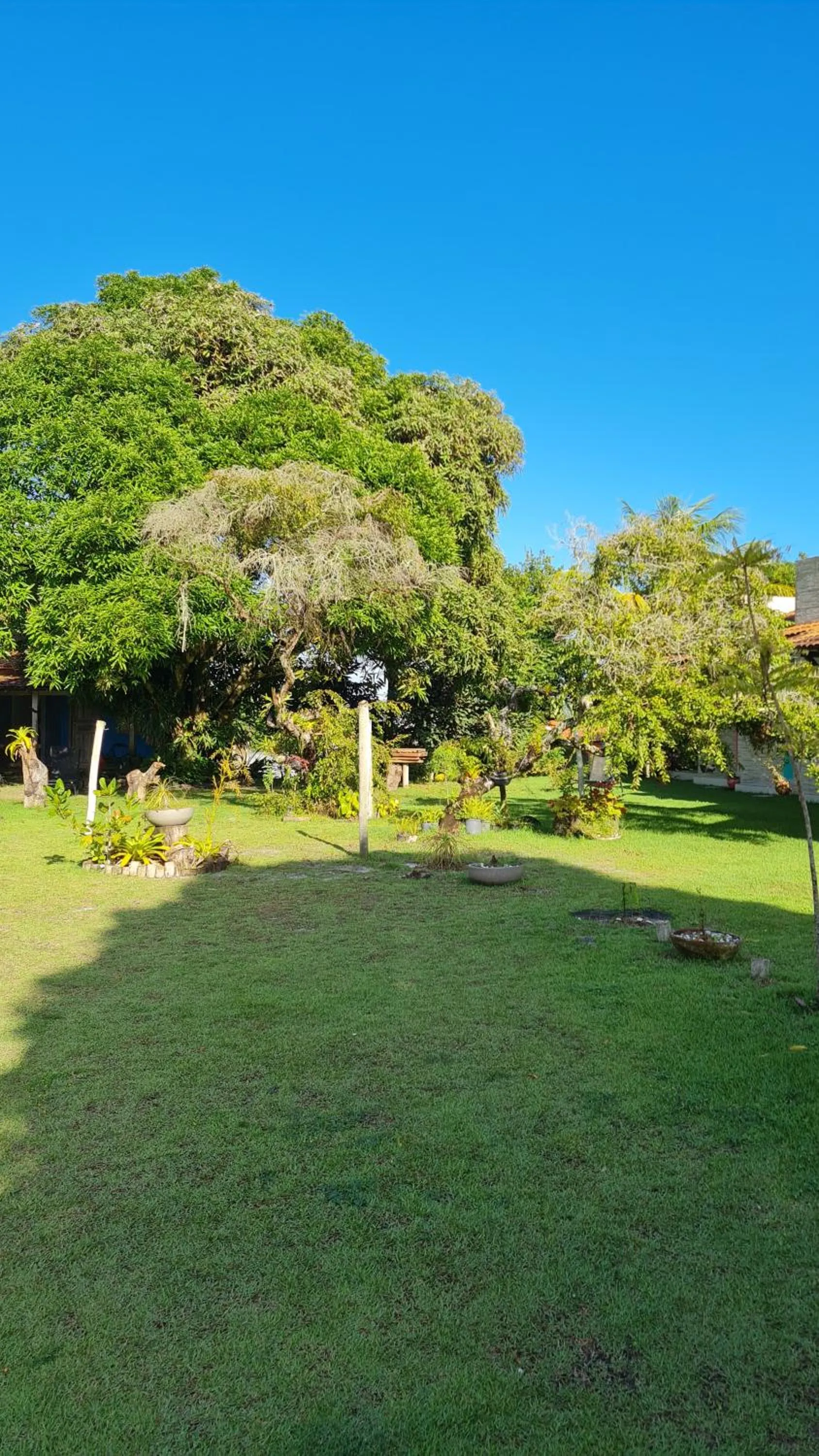 Garden in Pousada Jeito Bom de Viver