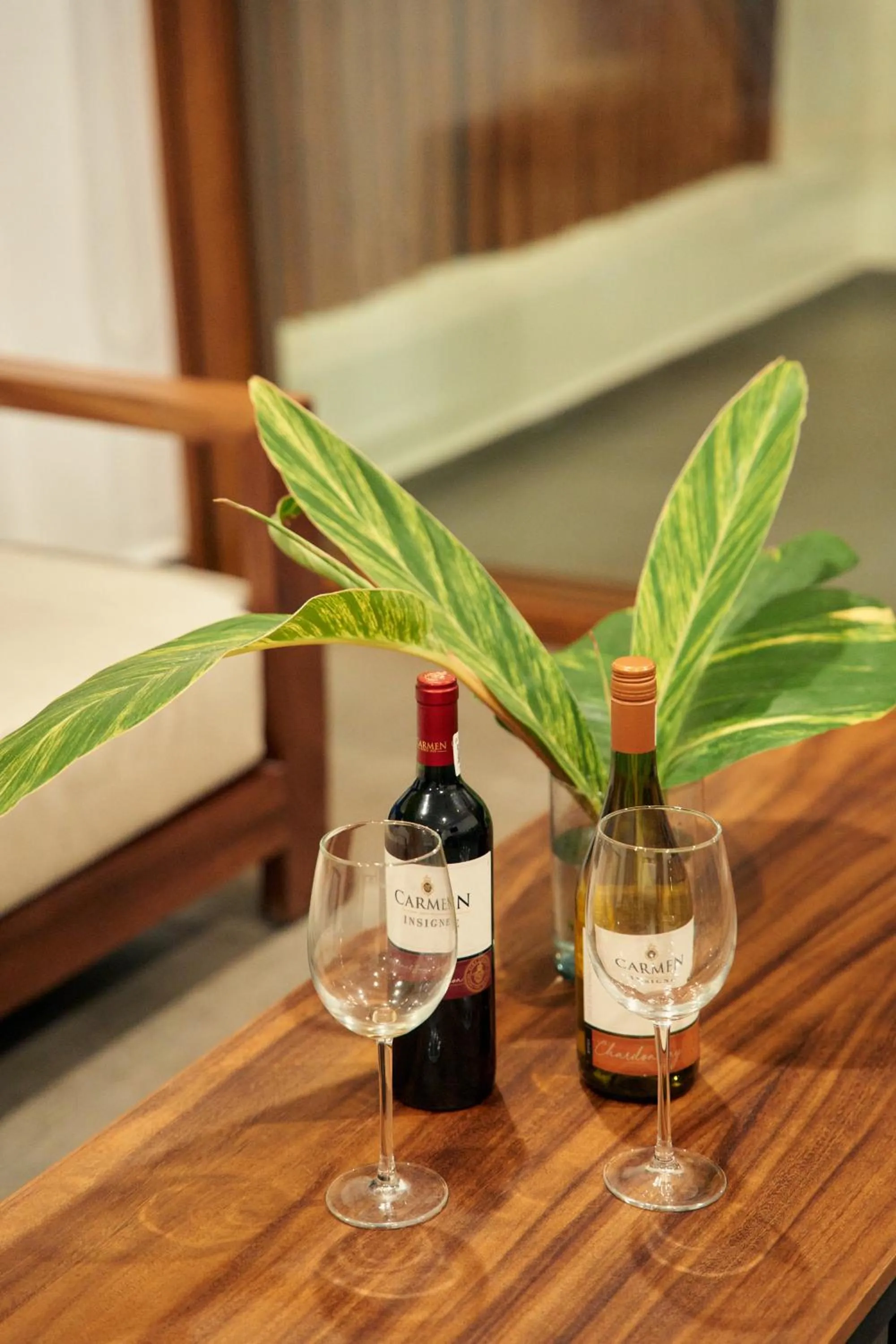 Food and drinks in Ysuri Sayulita - Beachfront Hotel