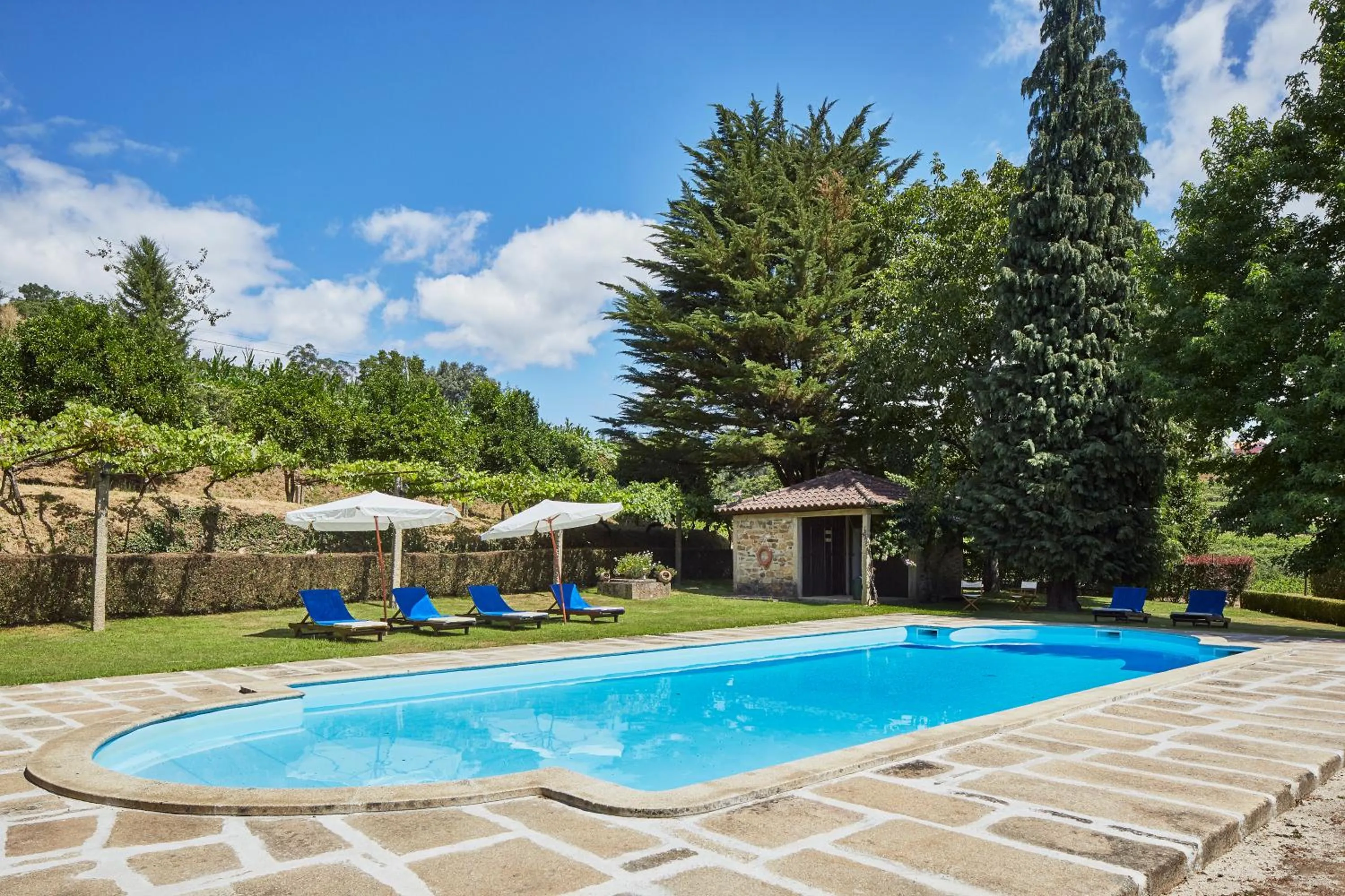 Swimming pool in Casa de Canedo