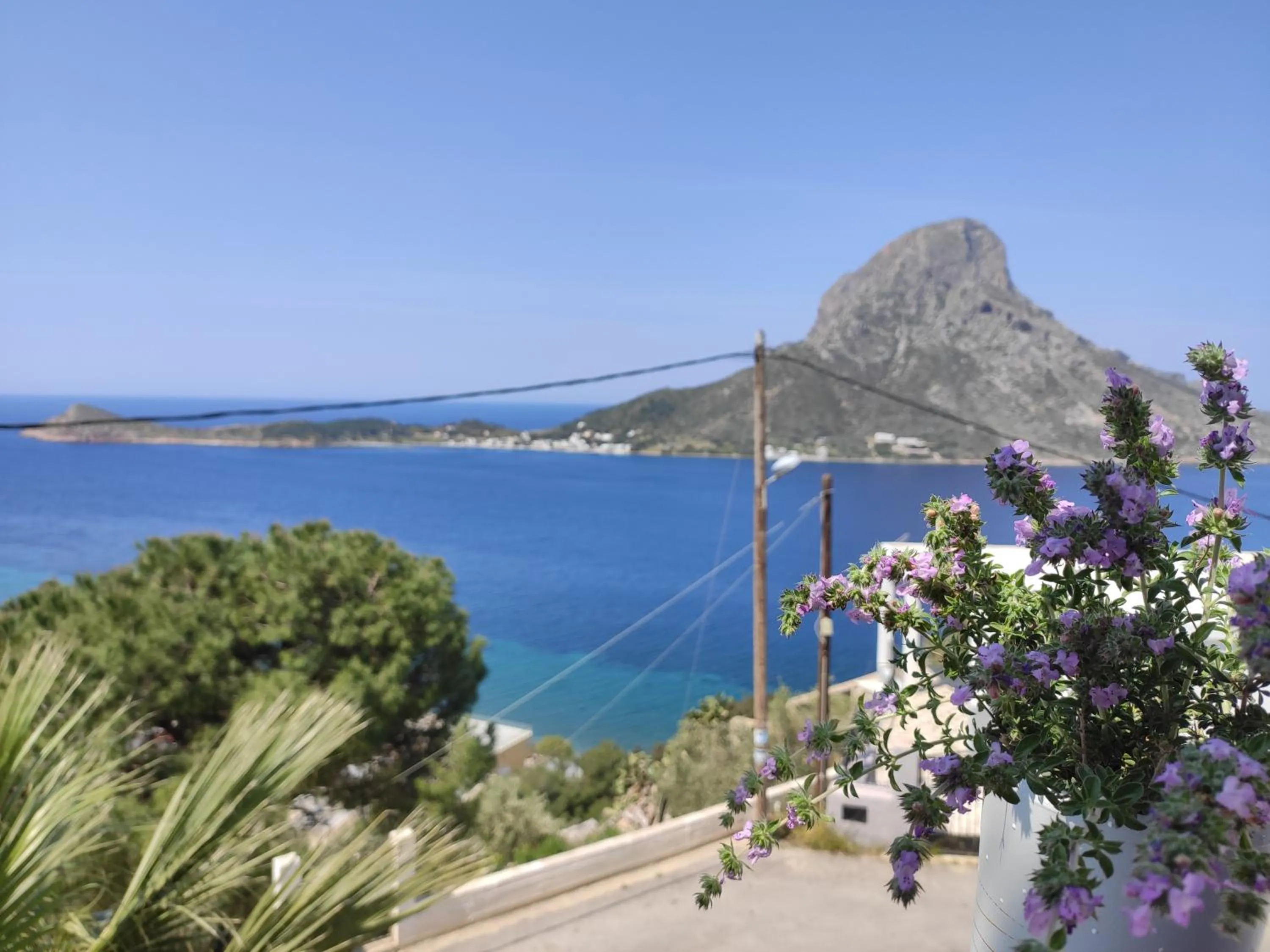 Property building in Afroditi Hotel