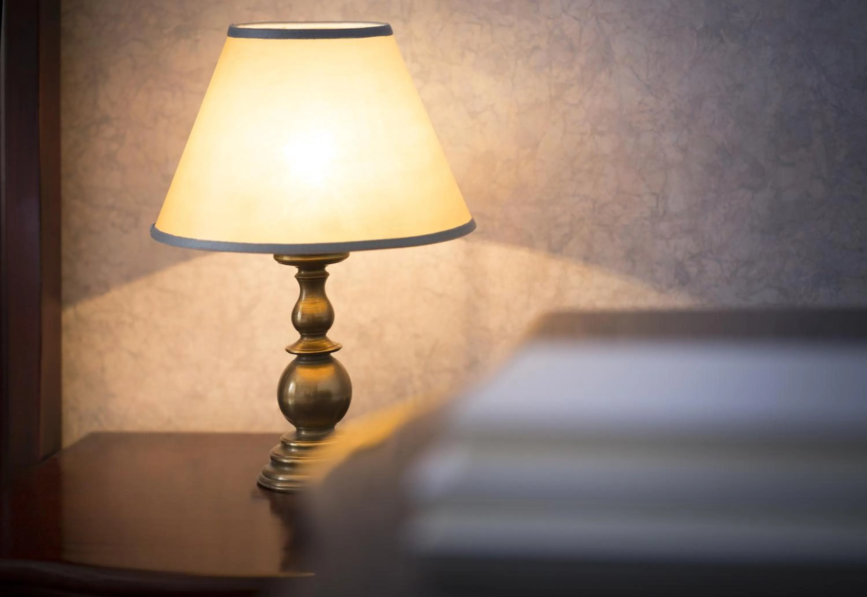 Area and facilities in Remisens CASA ROSA - Hotel Metropol Annexe