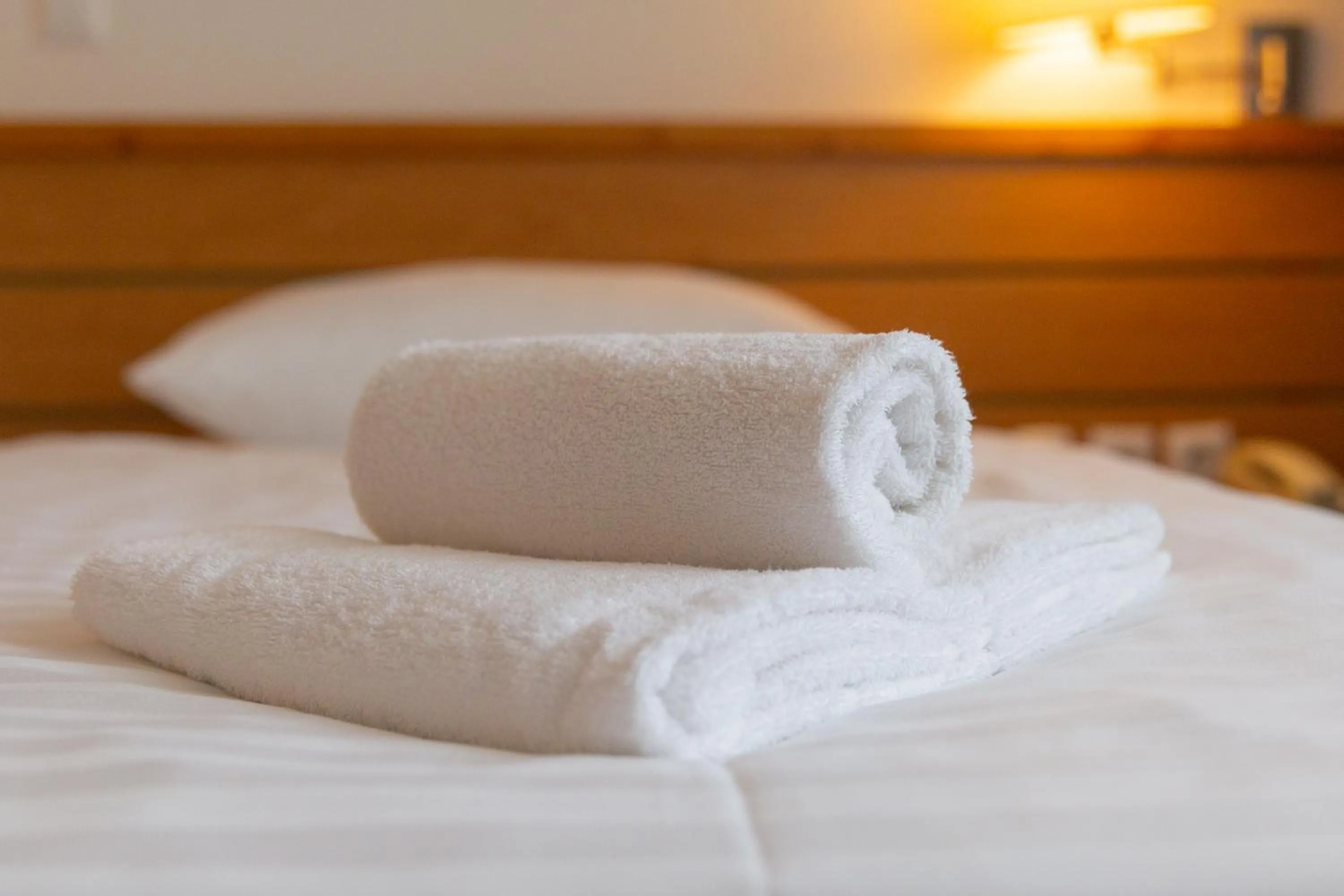 Bed in Ljubljana Resort Hotel & Camping