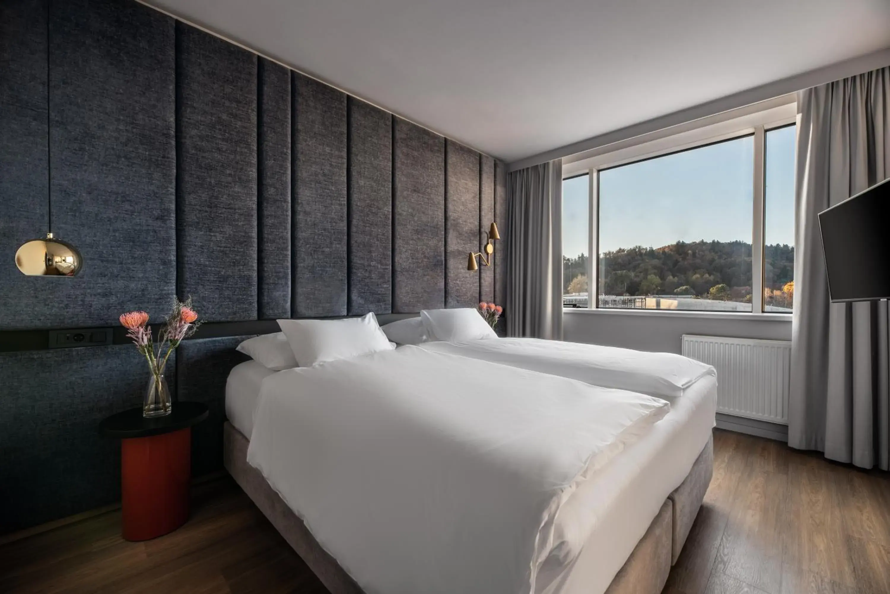 Bed in Exe Lev Bed in Exe Lev