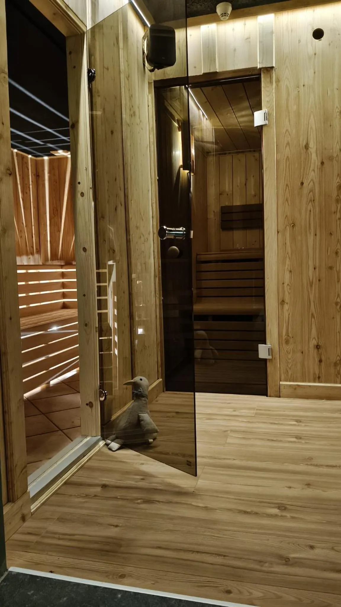 Sauna in Hotel Pezzotti
