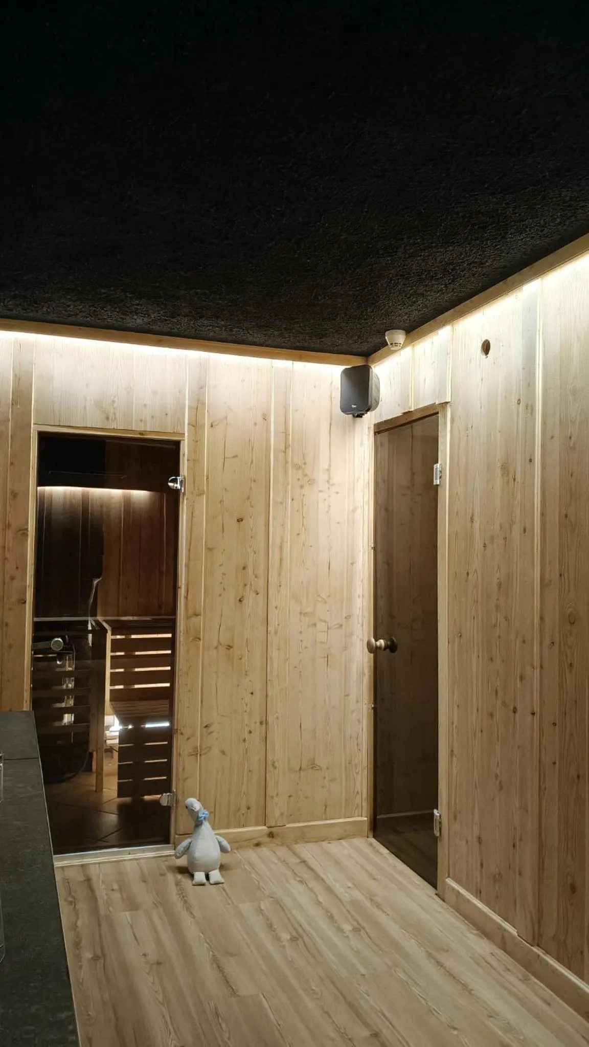 Sauna in Hotel Pezzotti