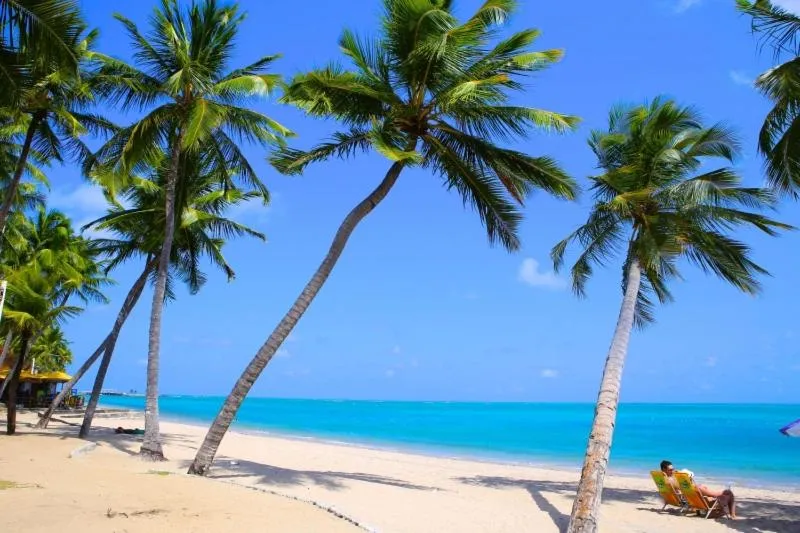 Natural landscape in Apto Promenade I PONTA VERDE