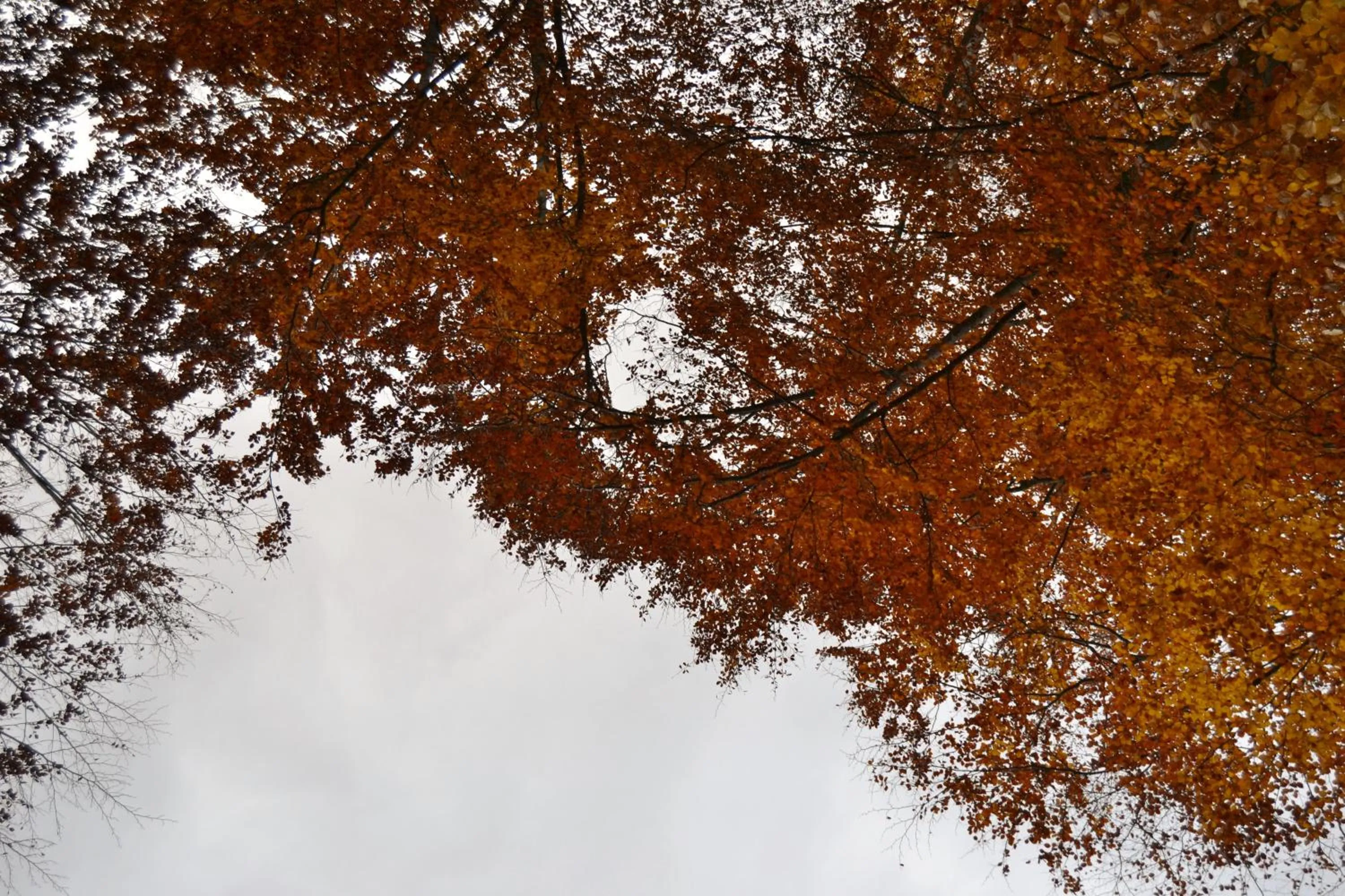 Natural landscape in Tres Puentes Anguiano Apartamentos y Hostal