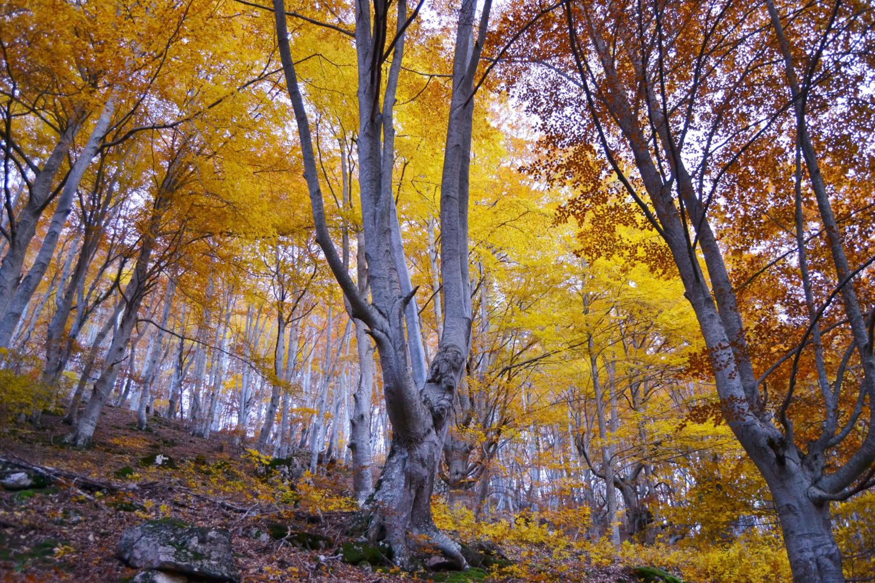 Natural landscape in Tres Puentes Anguiano Apartamentos y Hostal