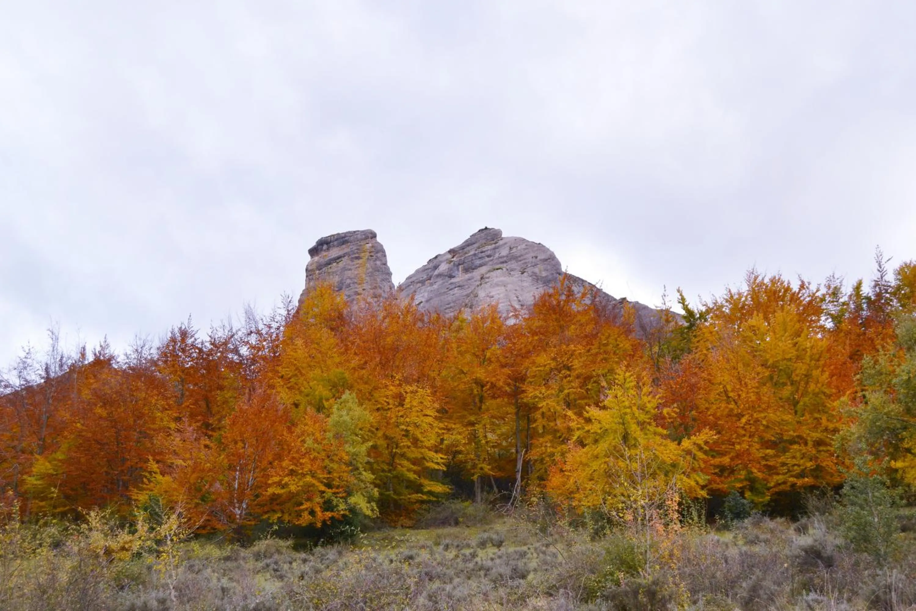 Natural landscape in Tres Puentes Anguiano Apartamentos y Hostal