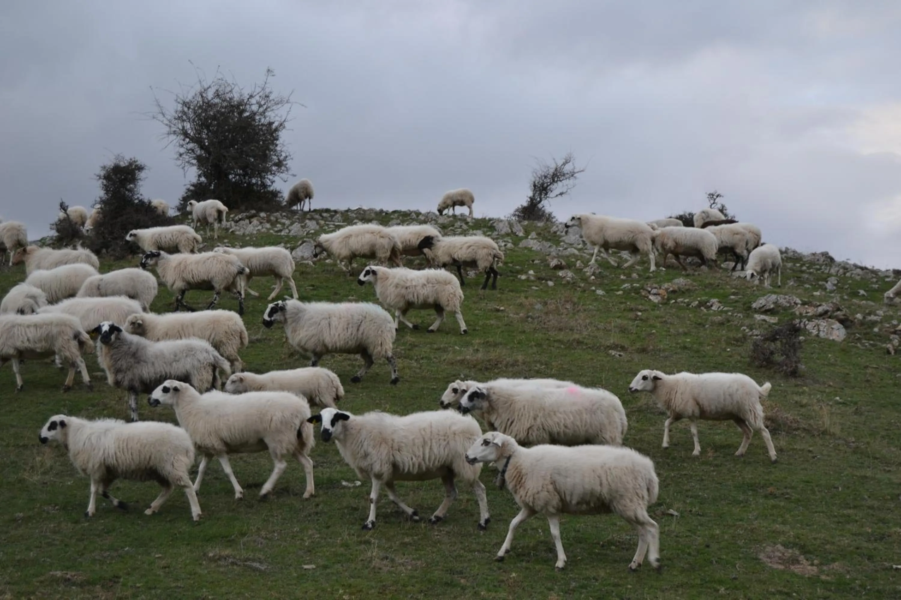 Natural landscape in Tres Puentes Anguiano Apartamentos y Hostal