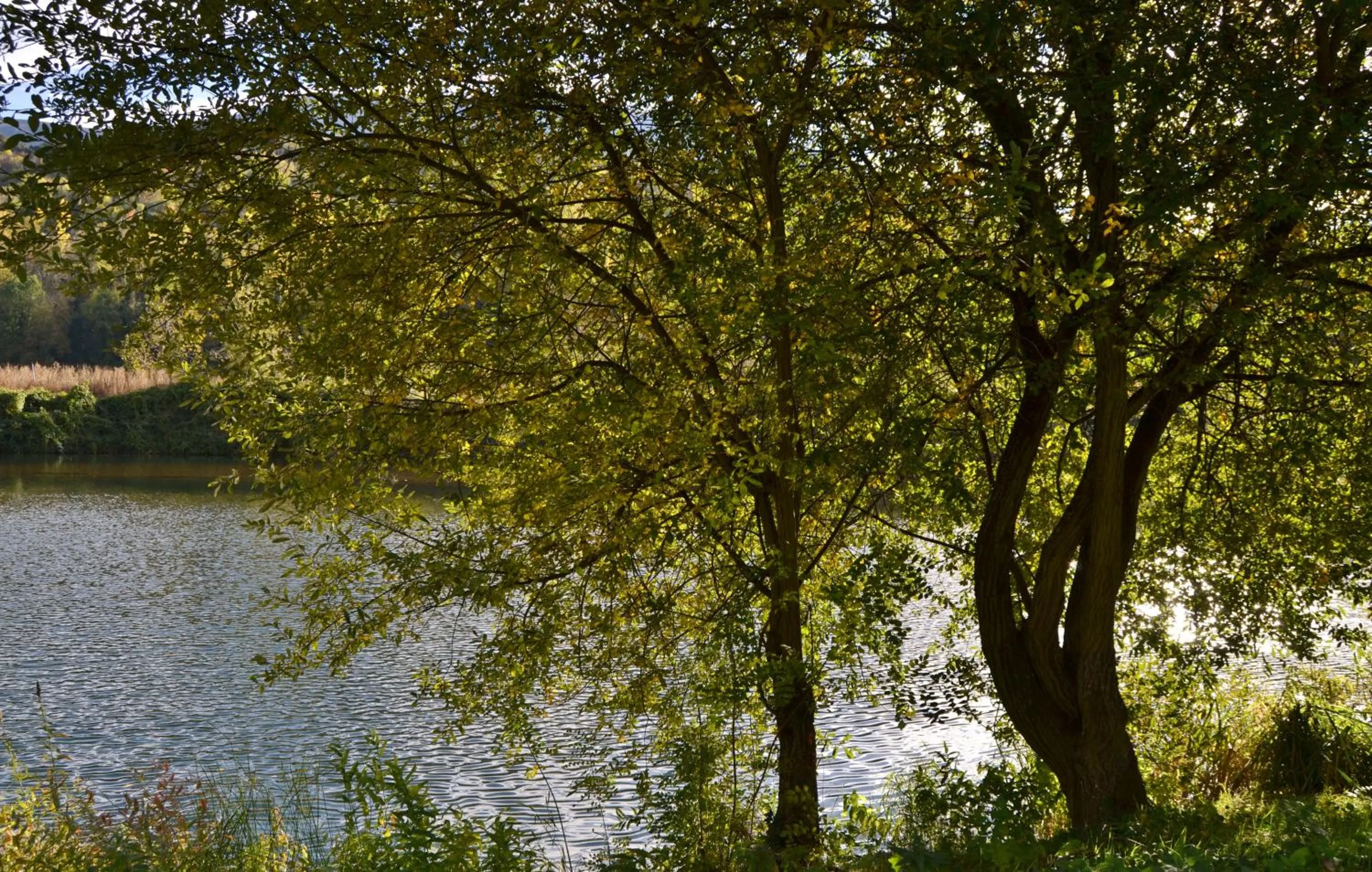 Natural landscape in Tres Puentes Anguiano Apartamentos y Hostal