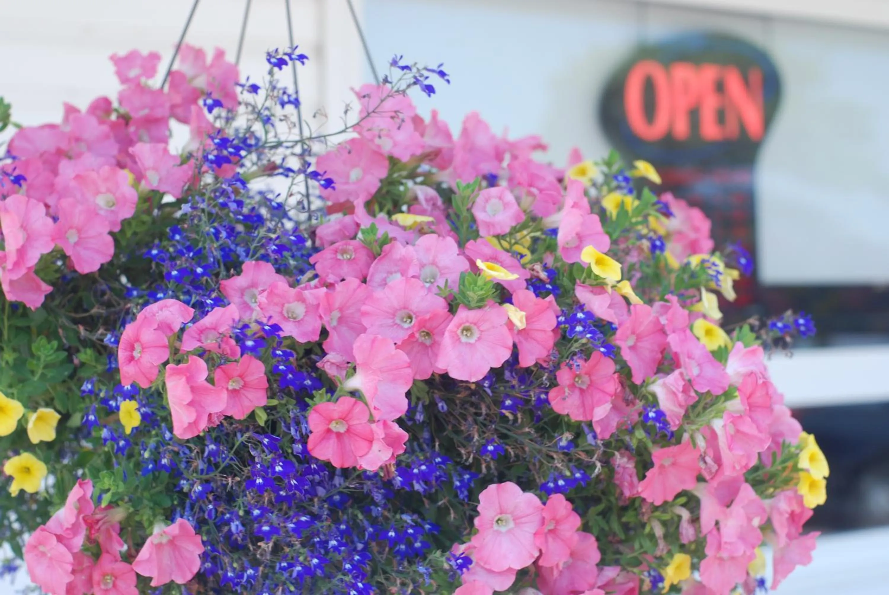 On site in Tantramar Motel