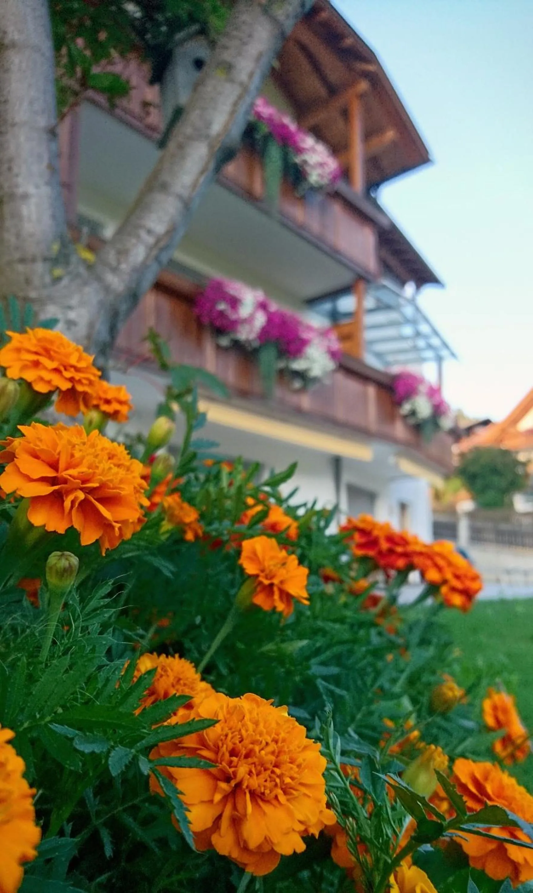 Property building in Residence Sonnberg