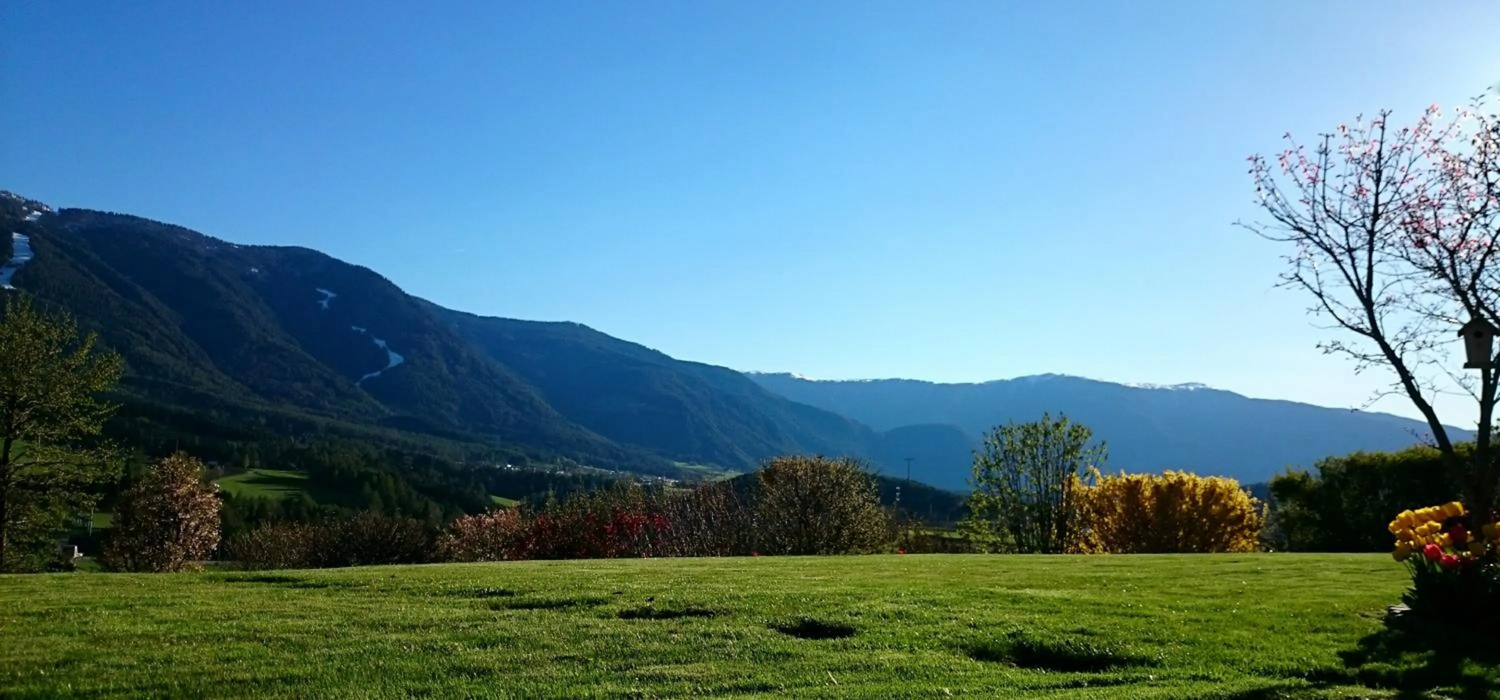 Spring in Residence Sonnberg